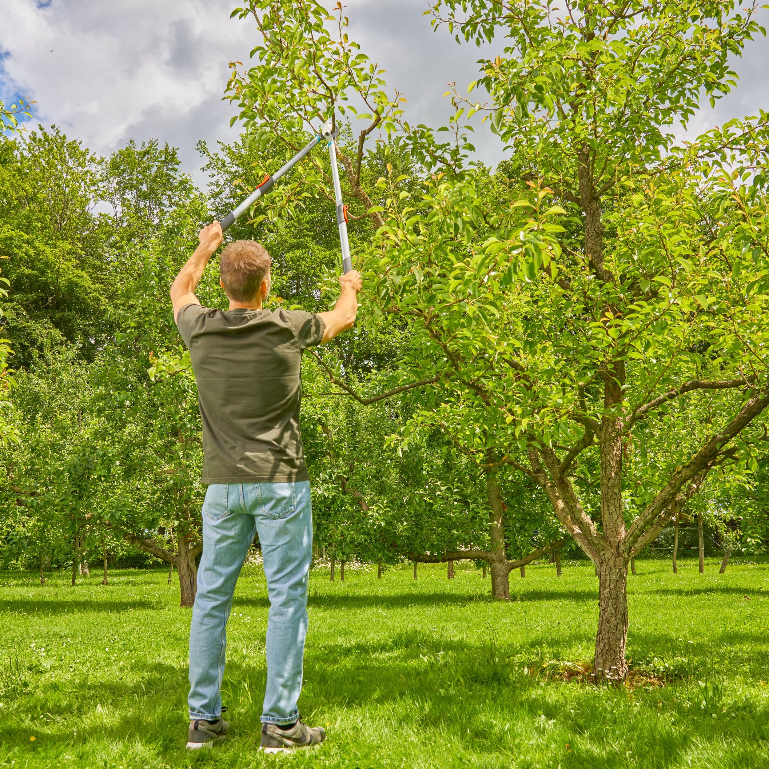 GARDENA TeleCut Basic Sécateur télescopique pour bois vert