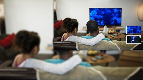 Blue Jelly Aquarium HD grátis - aproveite as belas medusas em sua TV HDR 4K, TV 8K e dispositivos de