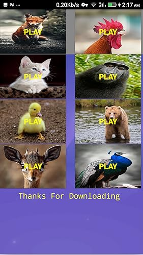 Animal Sound For Kids 13+