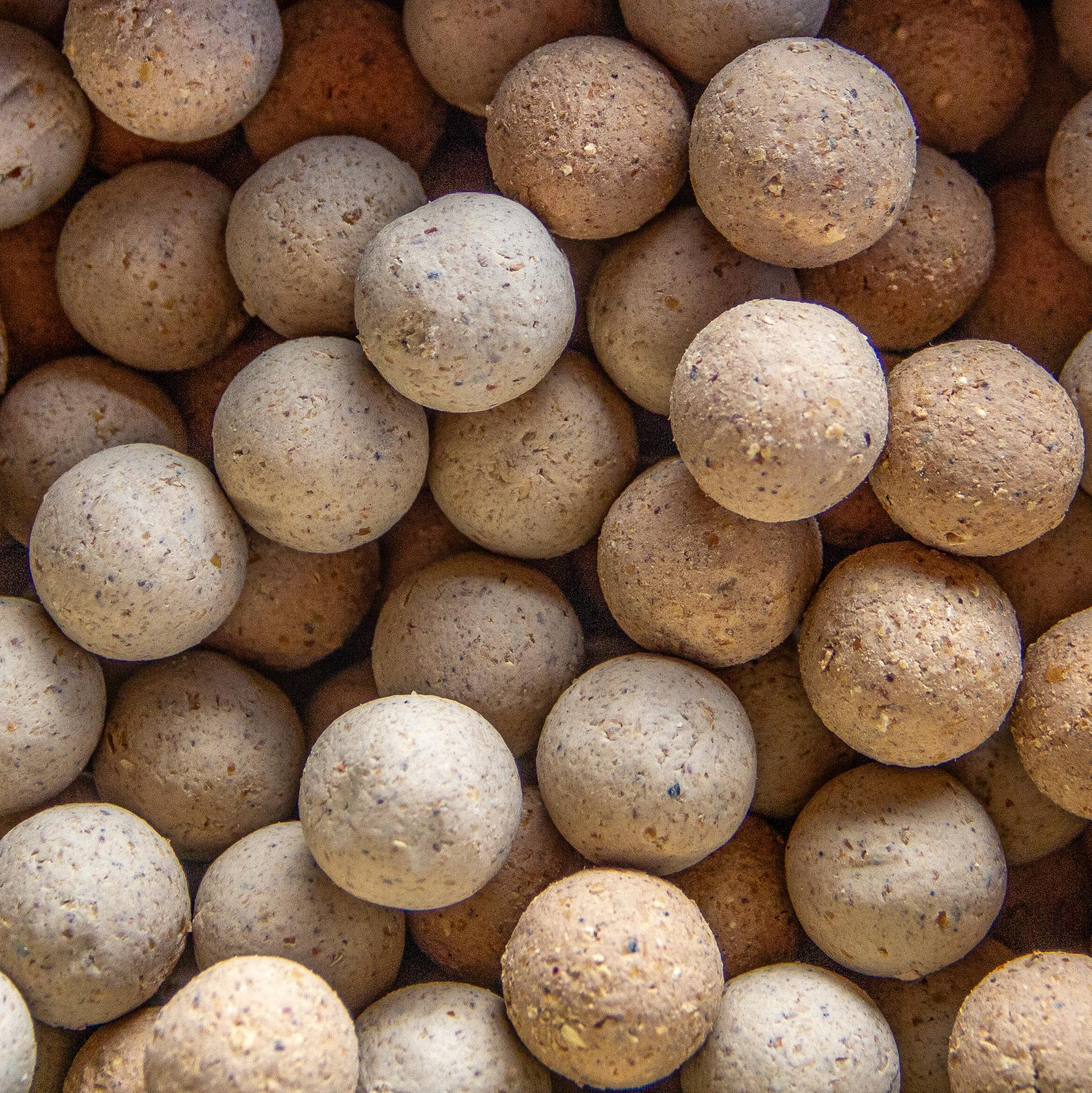 10kg Eurobase Boilies 24 mm Garlic Knoblauch Futter Karpfen Köder Angeln
