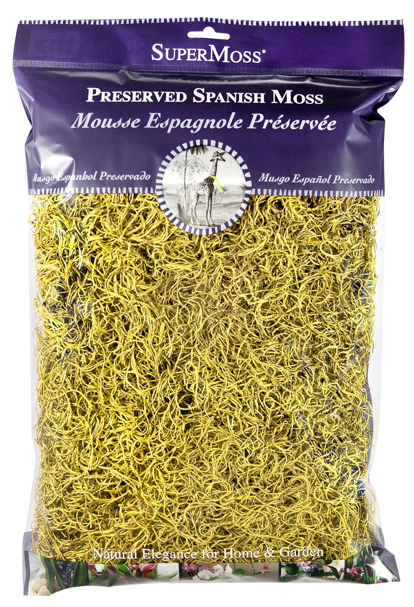 SuperMoss (26966) Spanish Moss Preserved, Pear, 8oz