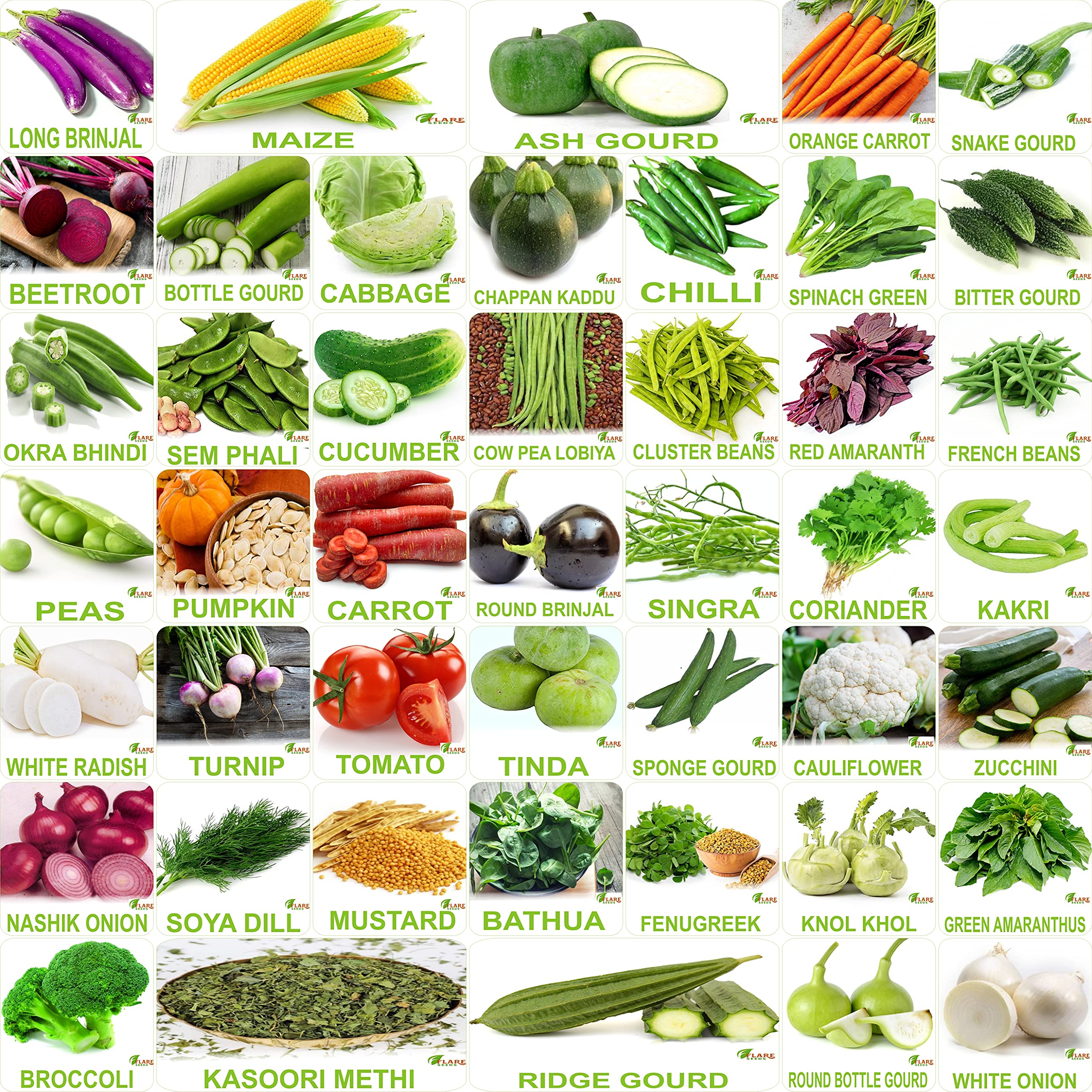 FLARE SEEDS No.1 Organic, Winter, Summer, Home Garden, Seeds Bank, Vegetable 45 Seeds Combo (B09C3ZNG7V) Amazon Price History, Amazon Price Tracker