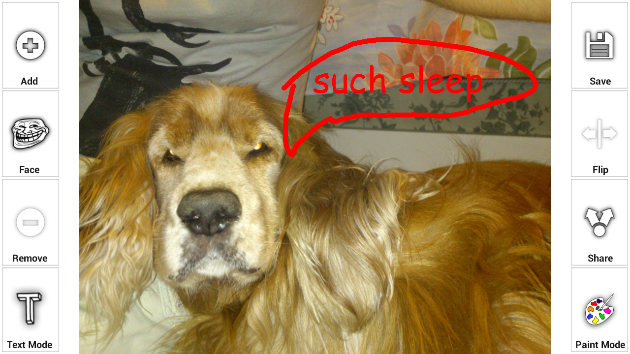 Modface Free - App on the Amazon Appstore