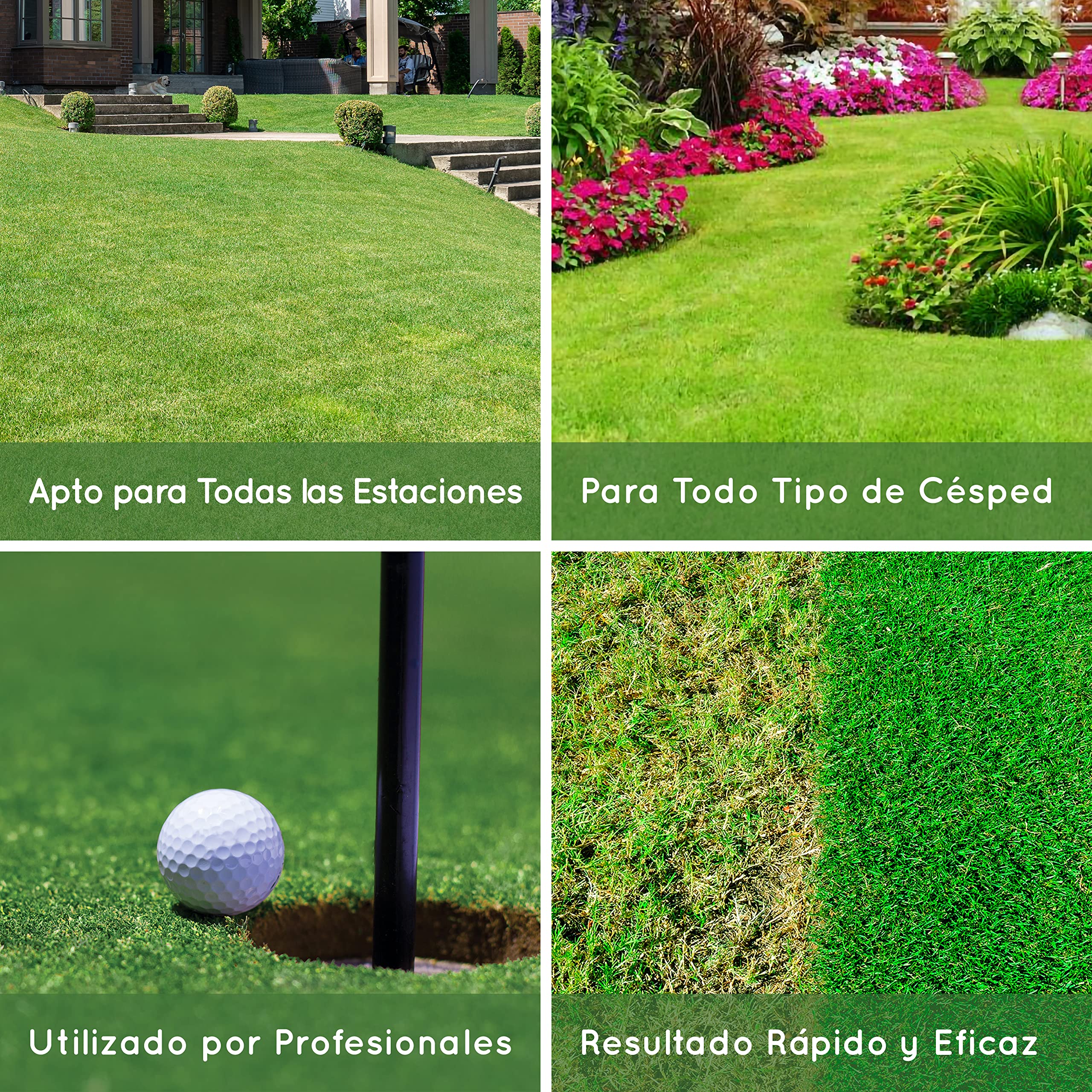 Abono Fertilizante Césped - Invierno/Primavera - Rendimiento 1000m2 superficie - Césped más Verde, Sano y Resistente – Ayuda a tu césped en situaciones de estrés, enfermedad o carencia de nutrientes