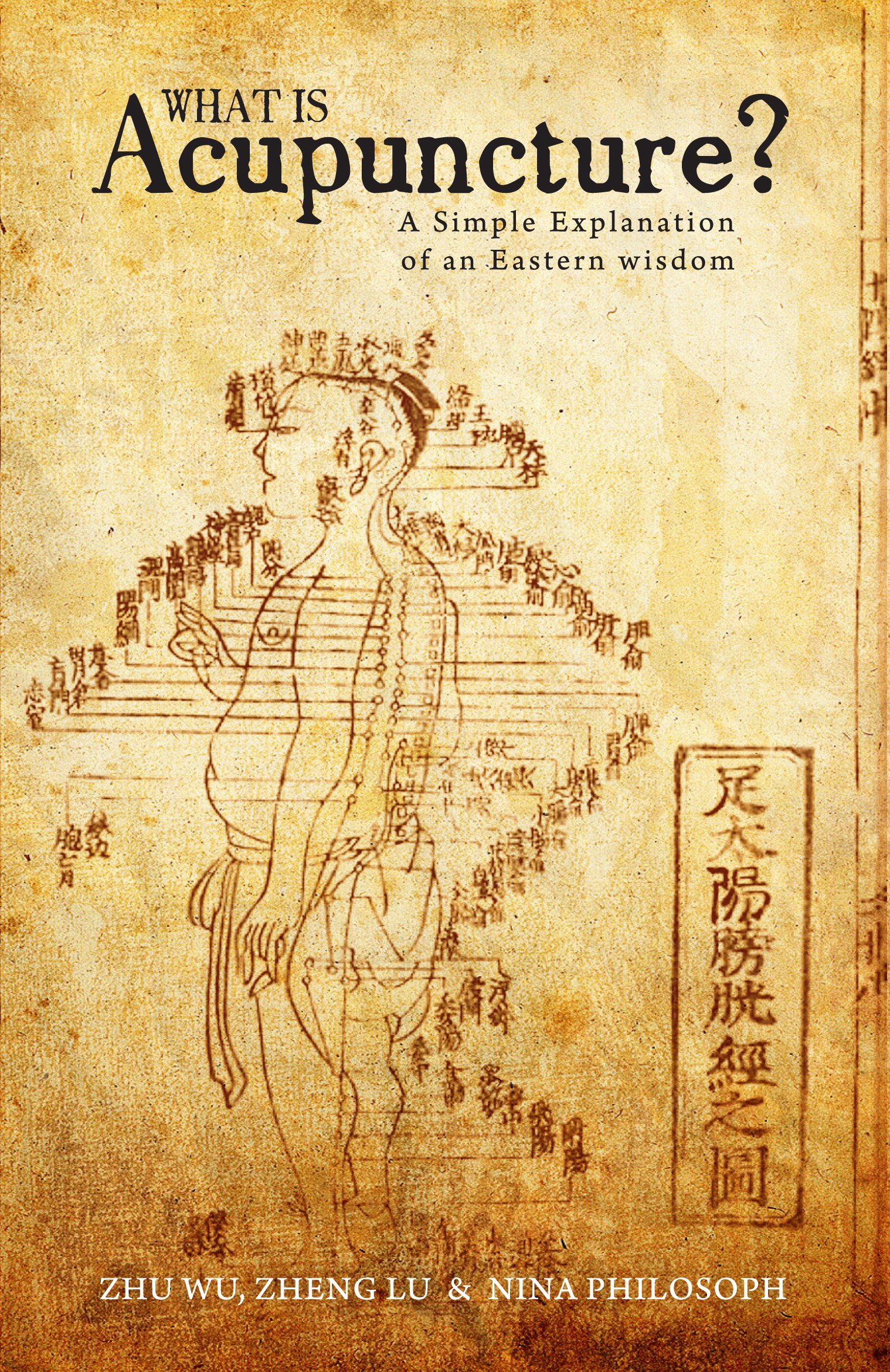 Buy What is Acupuncture?: A Simple Explanation of an Eastern Wisdom — BookShops.in