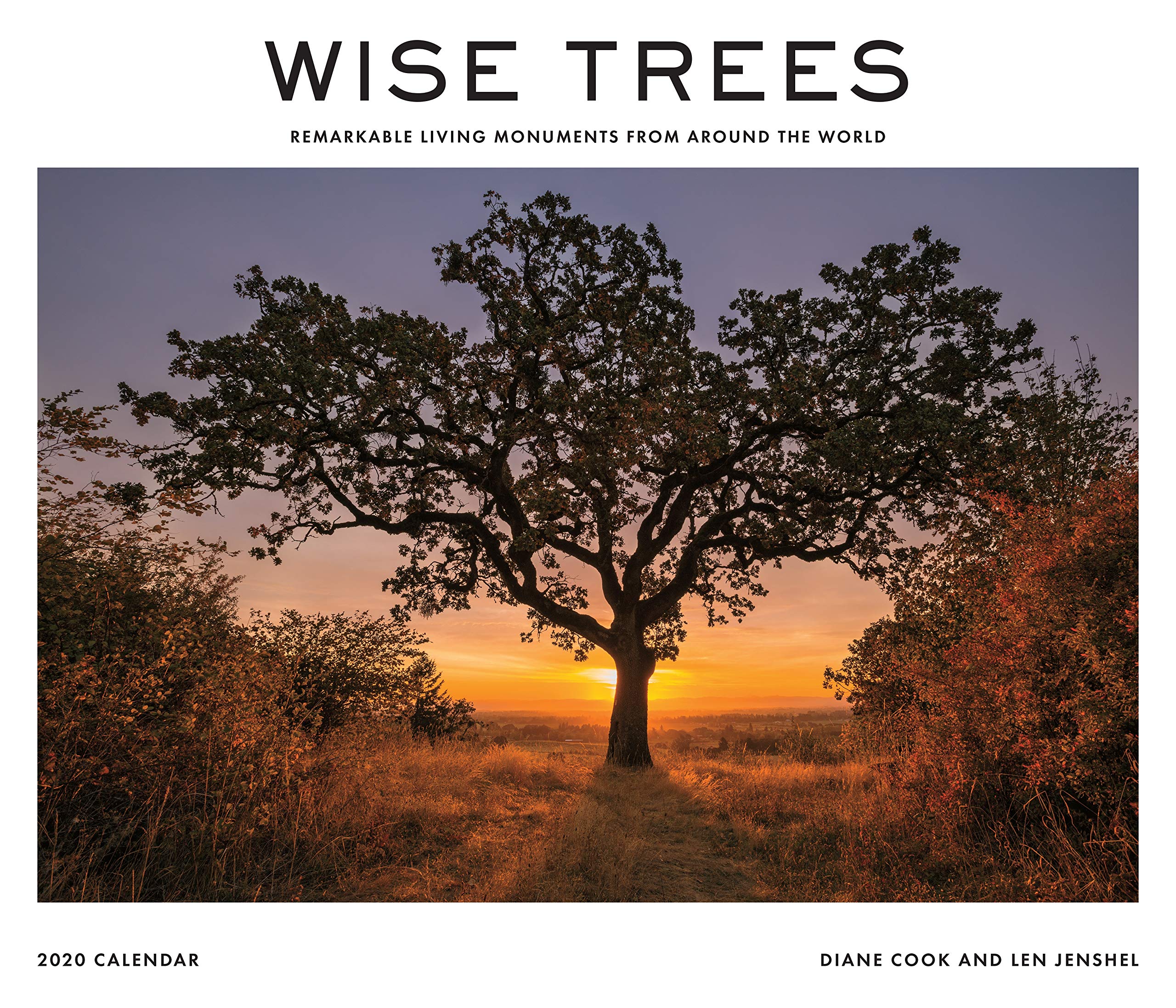Abrams Calendars Wise Trees 2020 Wall Calendar