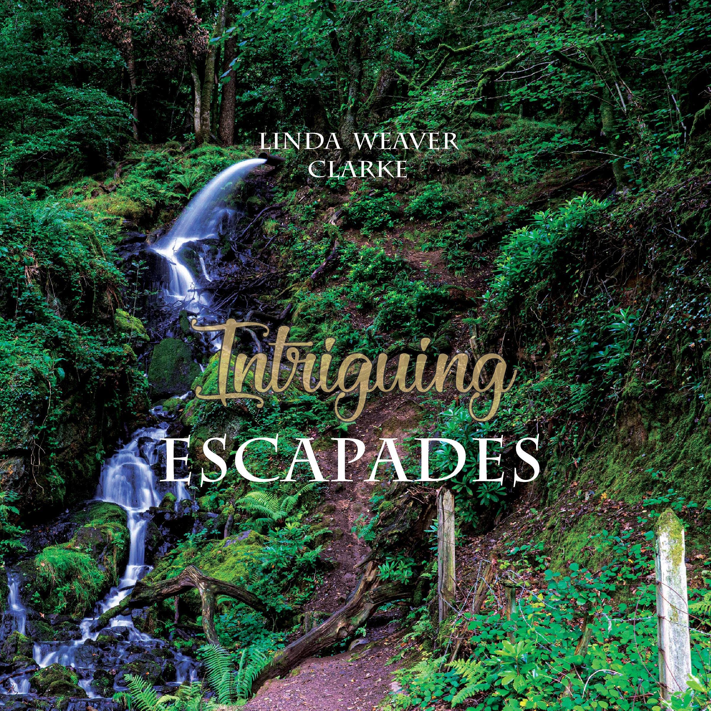 Intriguing Escapades