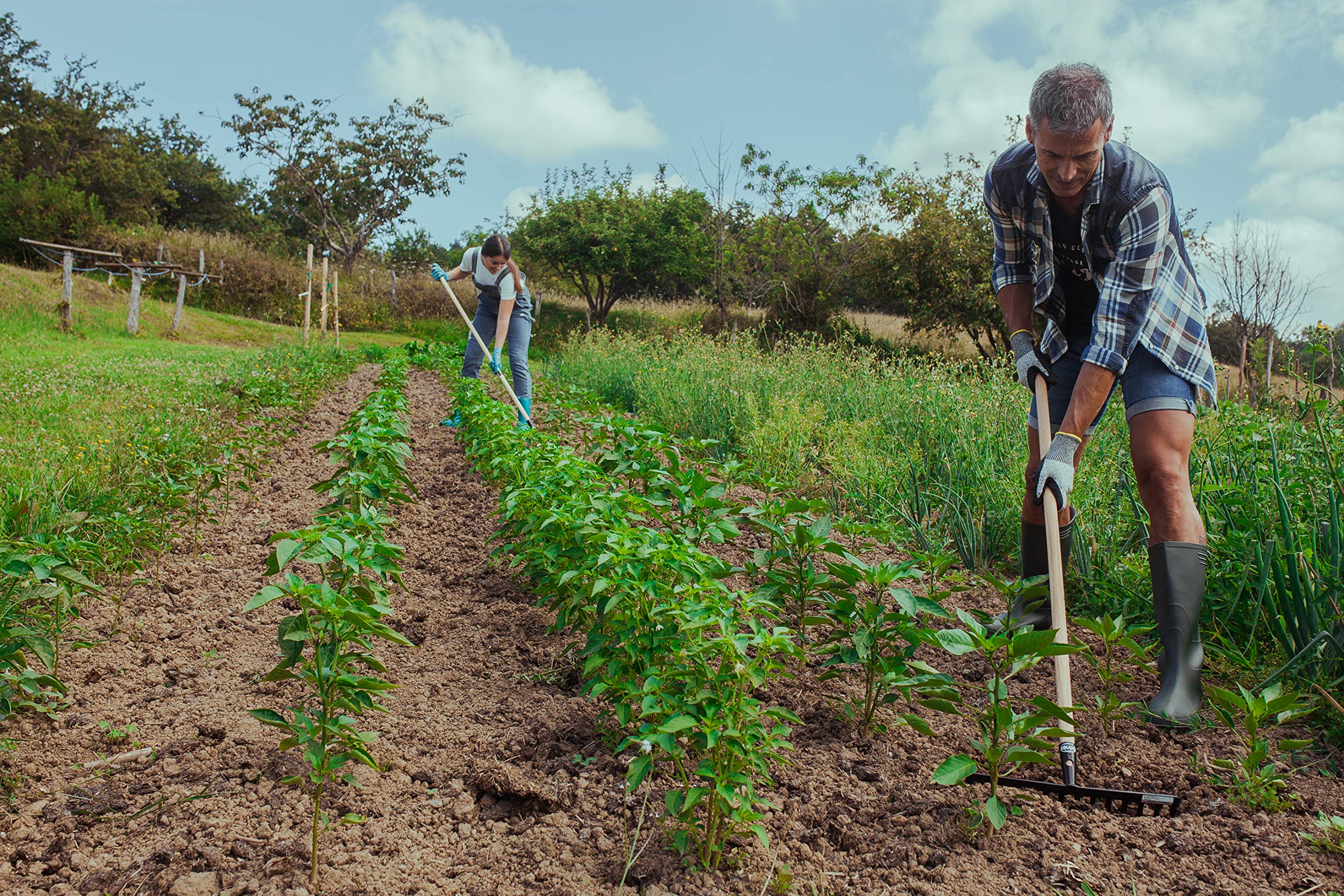 Rastrillo para Jardín - Cabezal de Acero al Carbono con Acabado Antioxidante - Mango de 120 cm de Madera - Favorece la Penetración en la Tierra - Herramienta Ligera - Bikain