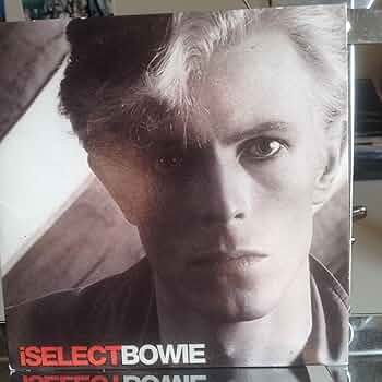 洋書 David Bowie immortel 洋書 David Bowie immortel fd.jpg?format=1500w