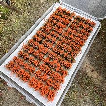 Miniature Flower Clusters for Model Railway Diorama, 104 Plants per Box, Multi-Color Scenery Decoration, Train Layout Landscape Accessories (Orange9)