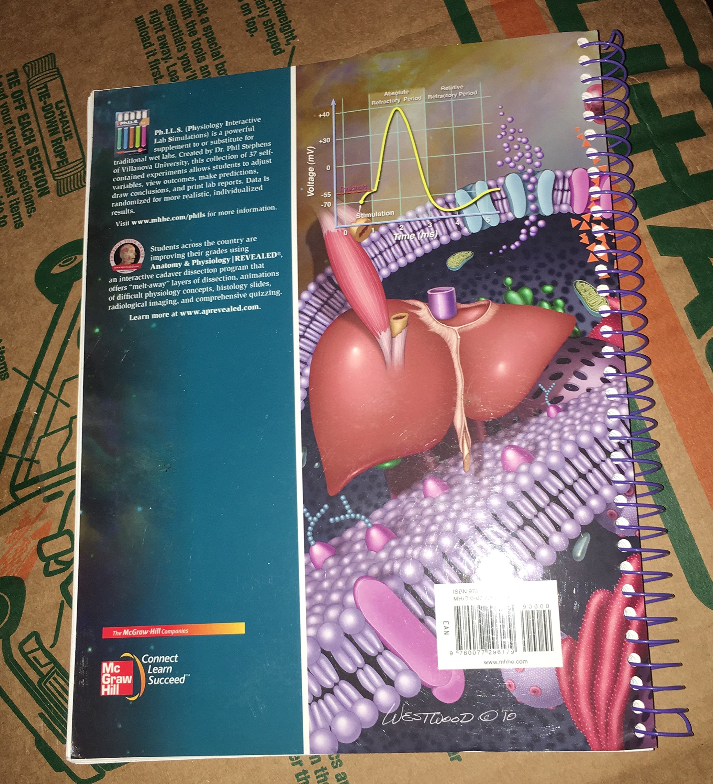 Human Physiology: Concepts and Clinical Applications