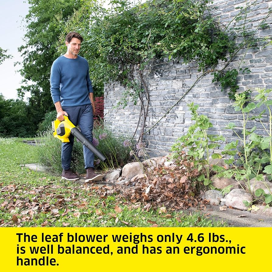 Amazon.com : Kärcher LBL 2, Cordless Leaf Blower with 130