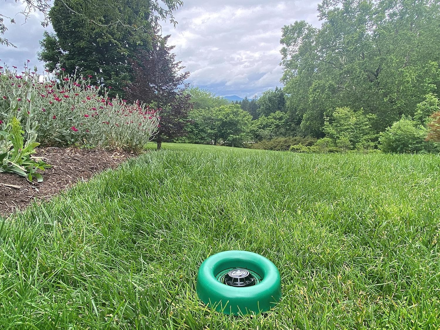 Sprinkler Head Protector (10 Pack)