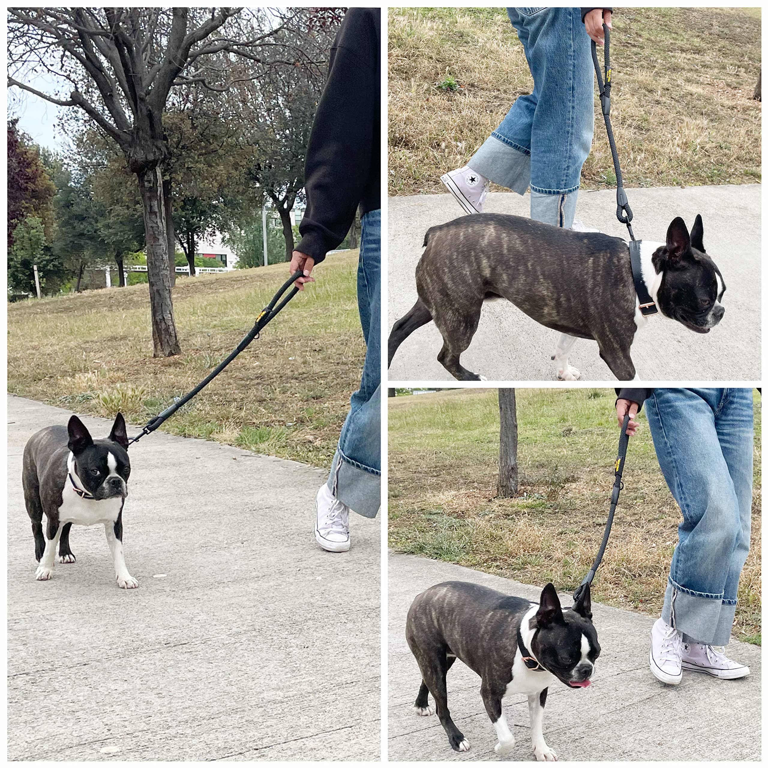 Laisse Courte en Corde 60cm, Anti-Traction pour Petits, Moyens et Grands Chiens, Fabriqué en Espagne. 60cm. Noir