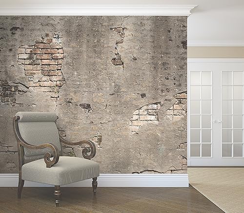 Miniatura 3 de Wall Rogues WR50520 Mural de pared de hormigón roto