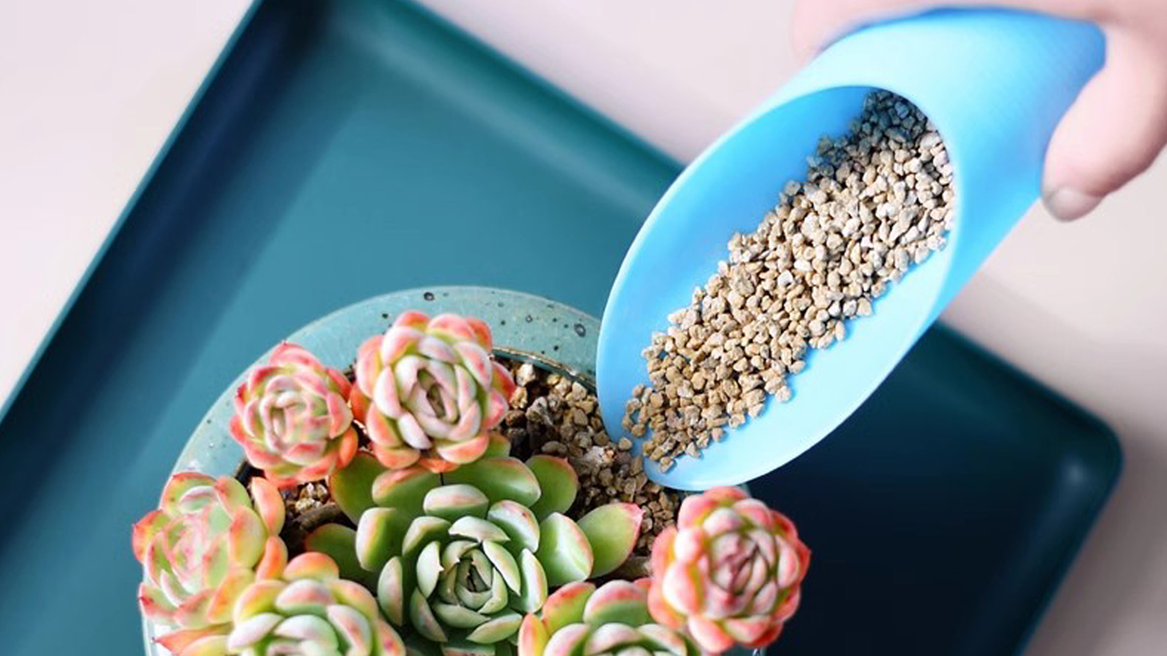 ROYHOO 9 piezas Cucharas para Suelo Bonsái Plástico miniatura 6
