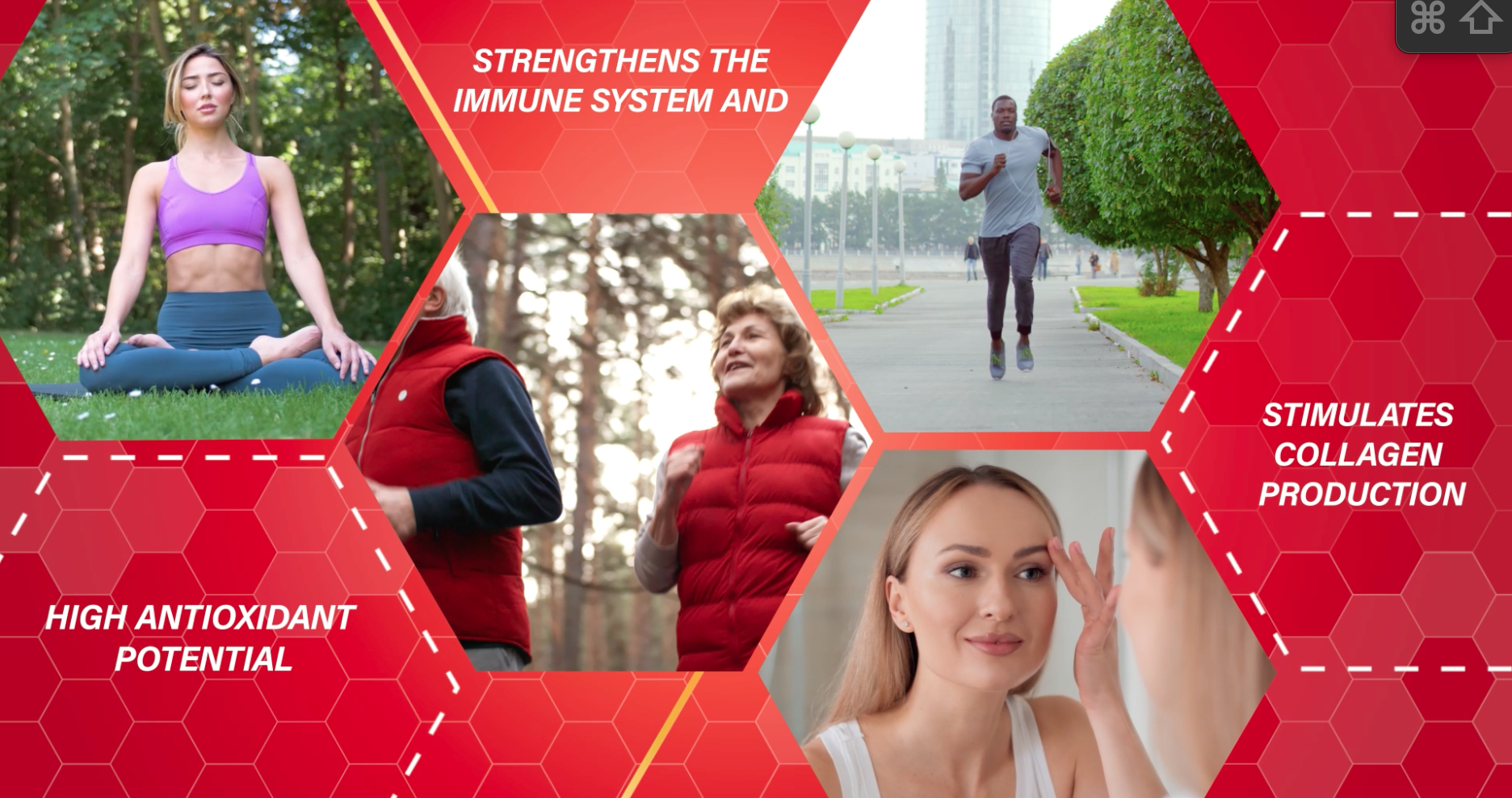 Amazon.com: Propolis Health Red Propolis - Bee Red Propolis 90