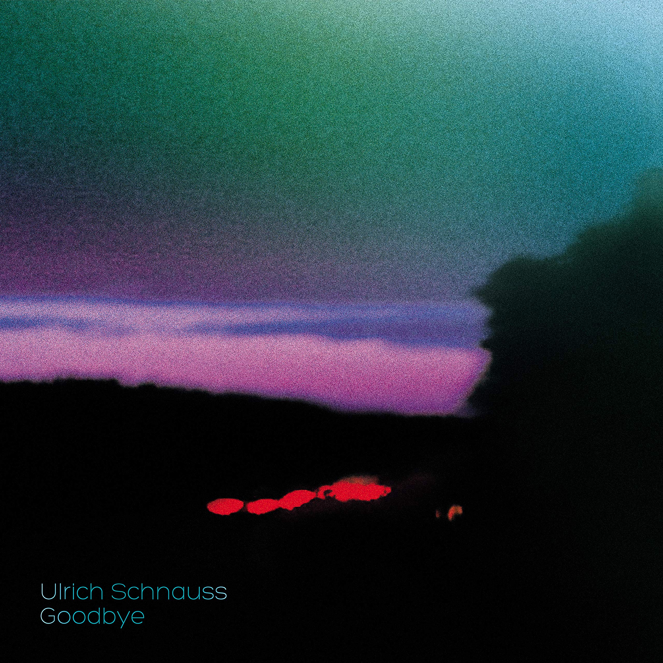 Goodbye [VINYL]