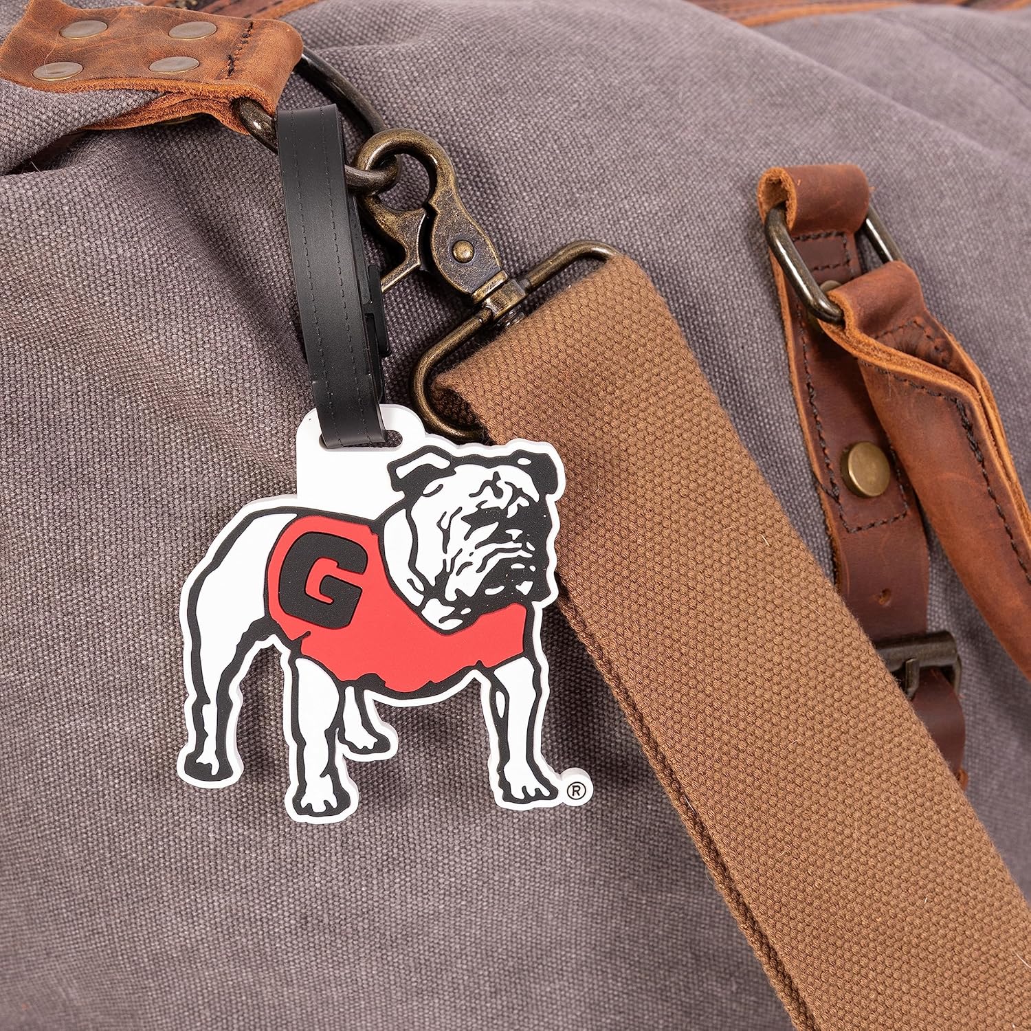 Desert Cactus University of Georgia Luggage Tag UGA Dawgs Durable PVC Travel ID Label for Bags and Backpacks (Design C) (Pack of 2)