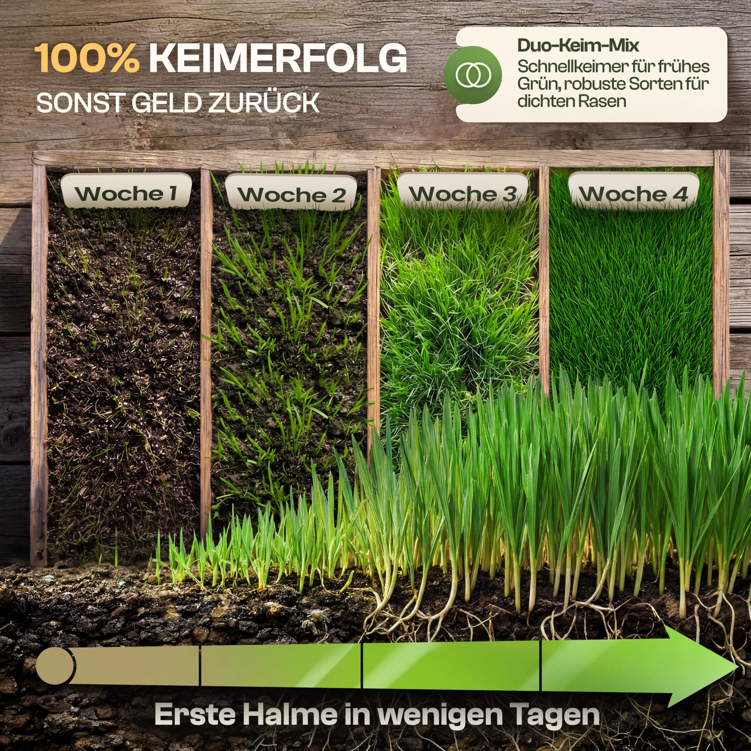 HELDENWERK® Nasiona trawnika, szybko kiełkujące, 0,5 kg/20 m², 100% kiełkowania, na niemiecką pogodę, nasiona trawy do dodatkowego siewu i nowego siewu, do uprawiania sportu i zabawy