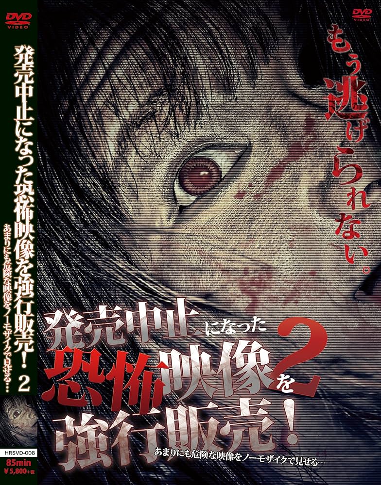 TAKE様確認用　DVD　ホラー映画　21枚 追撃者～逆局～ DVD-BOX2 ＜シンプルBOX 5,000円シリーズ＞