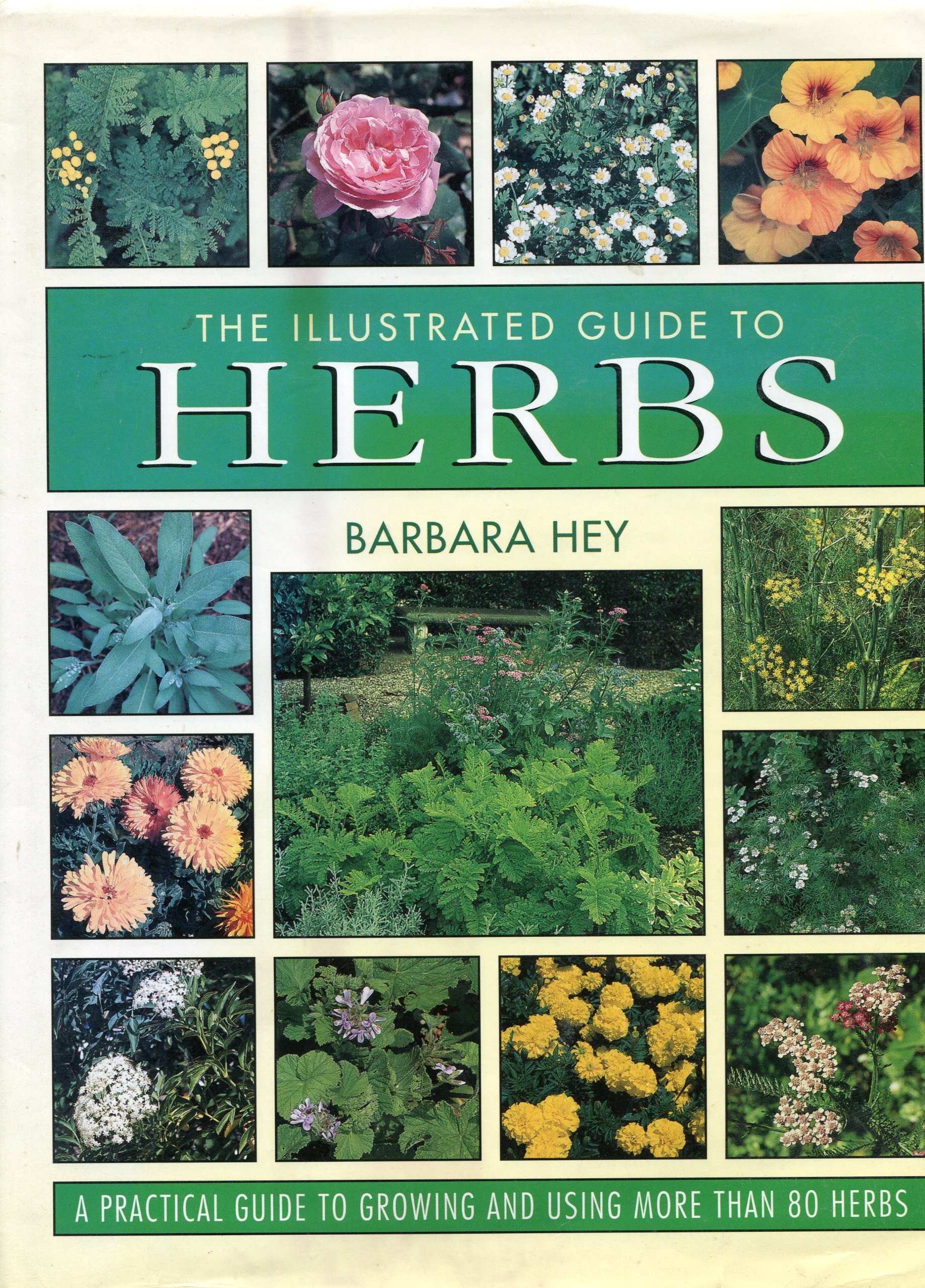 The Illustrated Guide to Herbs