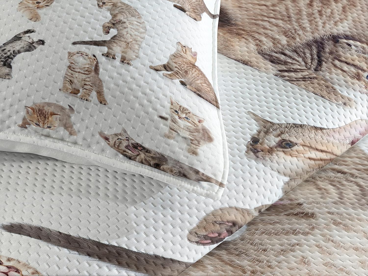 Lunarable Cat Coverlet, Group of Funny Playful Kitten Pet Scottish Tabby Striped Pussu Animal Design, 3 Piece Decorative Quilted Bedspread Set with 2 Pillow Shams, Twin Size, White Grey