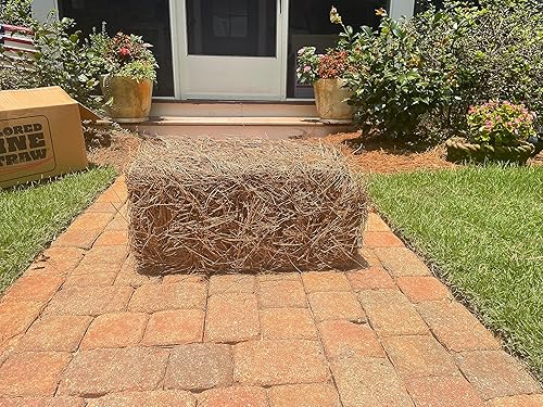 Miniatura 4 de Pala de paja de pino cuadrada premium fácil de extender y manejar  Agujas largas de buena calidad  Cobertura de 65 a 70 pies cuadrados  Ideal para