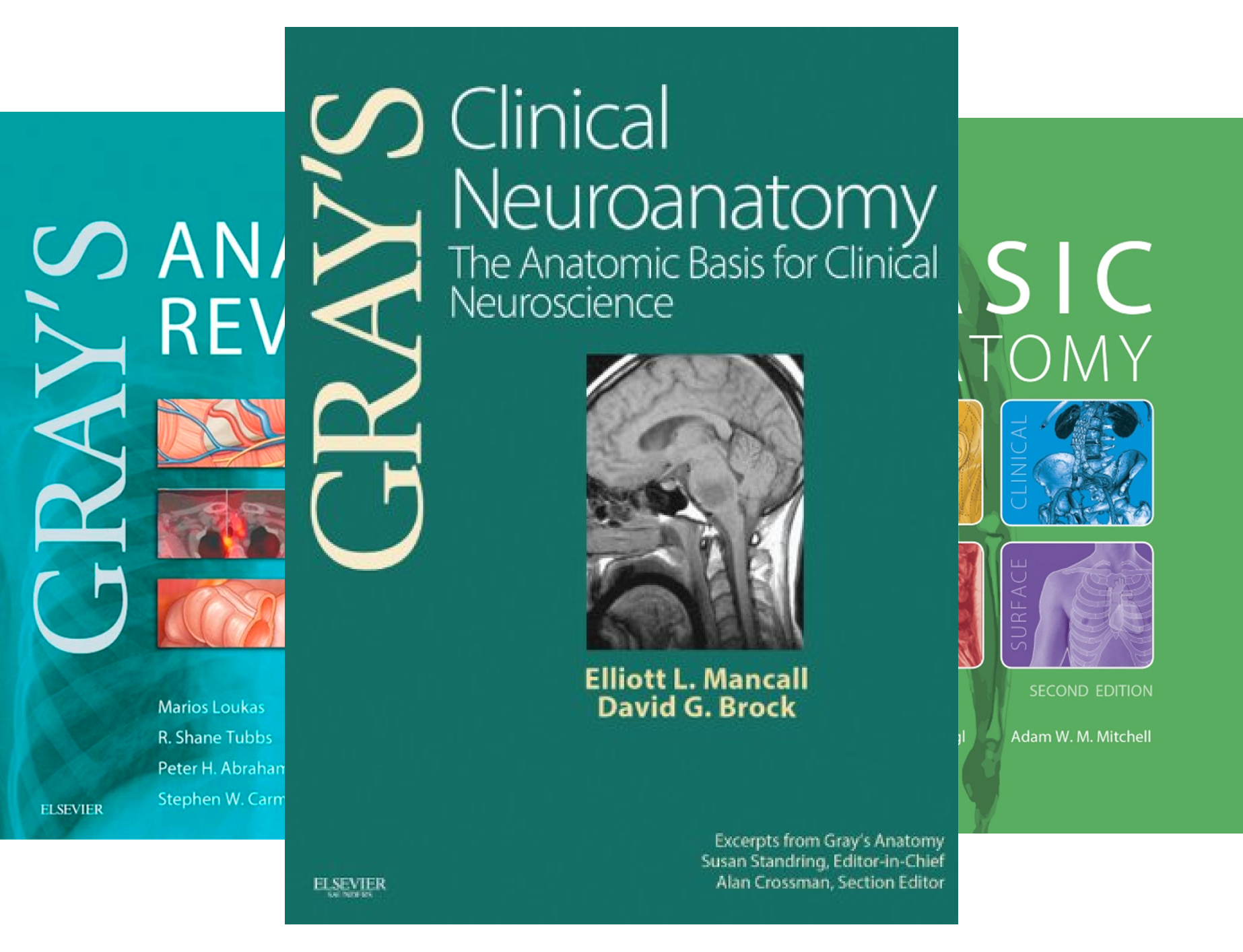 Amazon | Gray's Anatomy E-Book (English Edition) [Kindle edition] by ...