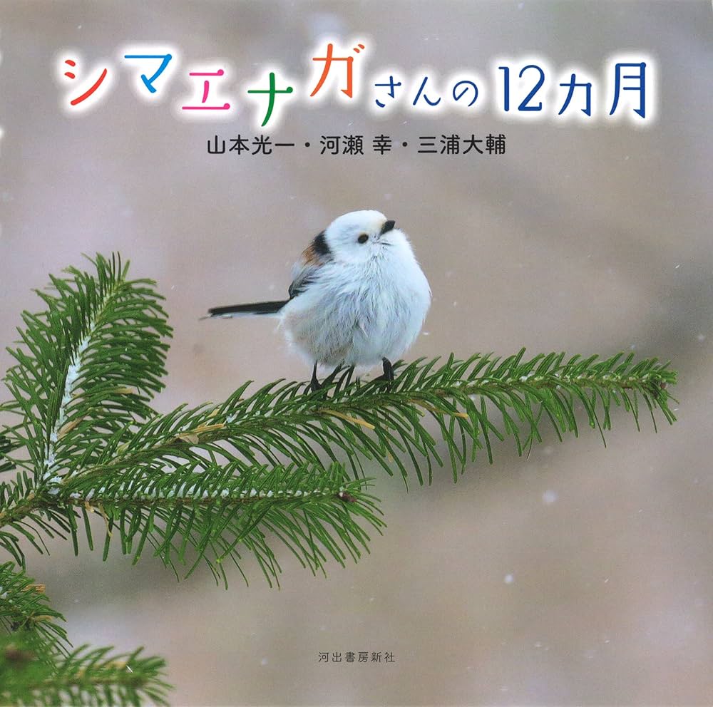 シマエナガ様 北海道3大かわいい動物」プロジェクト | . 「きょうの1枚」は