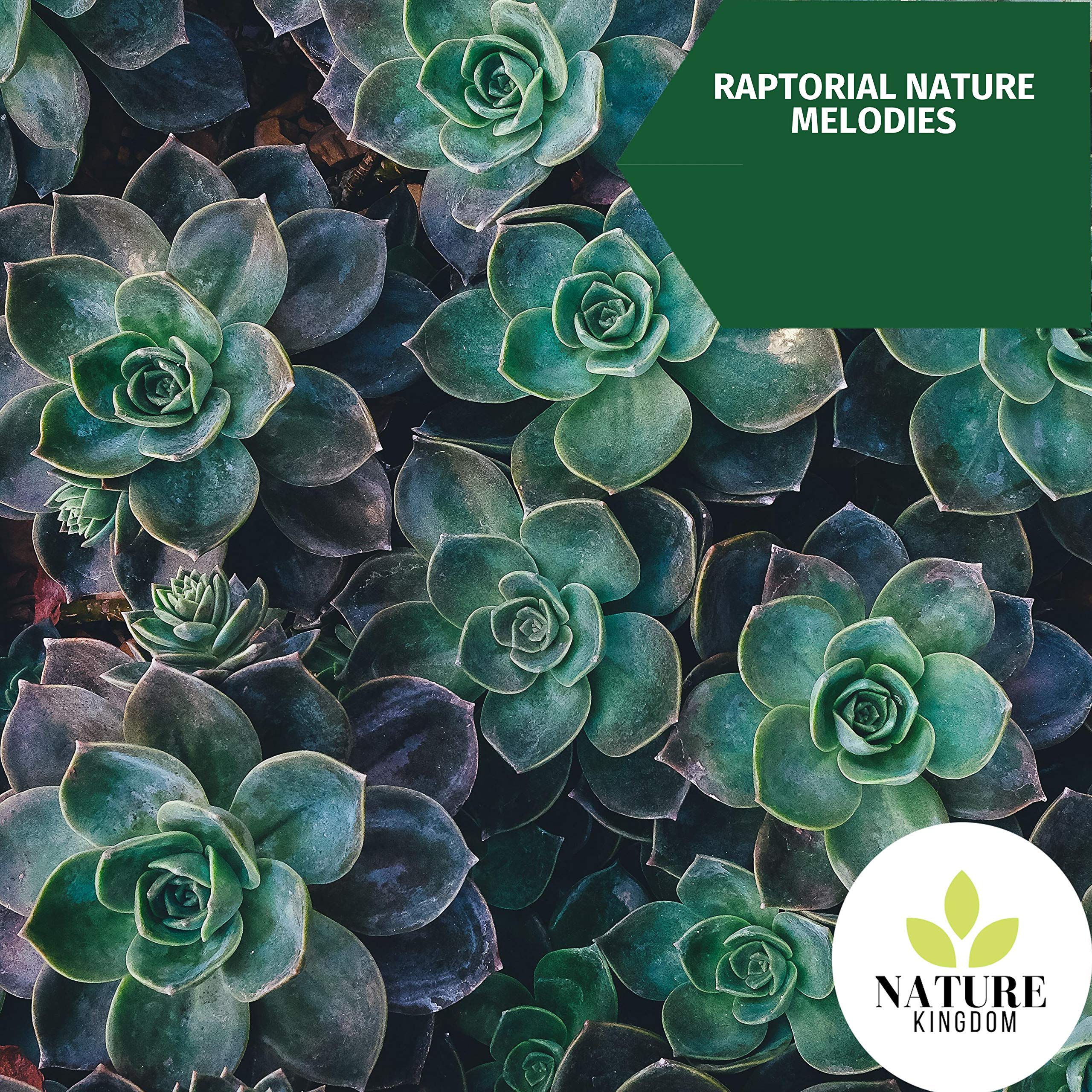 Emotional Rain Stories