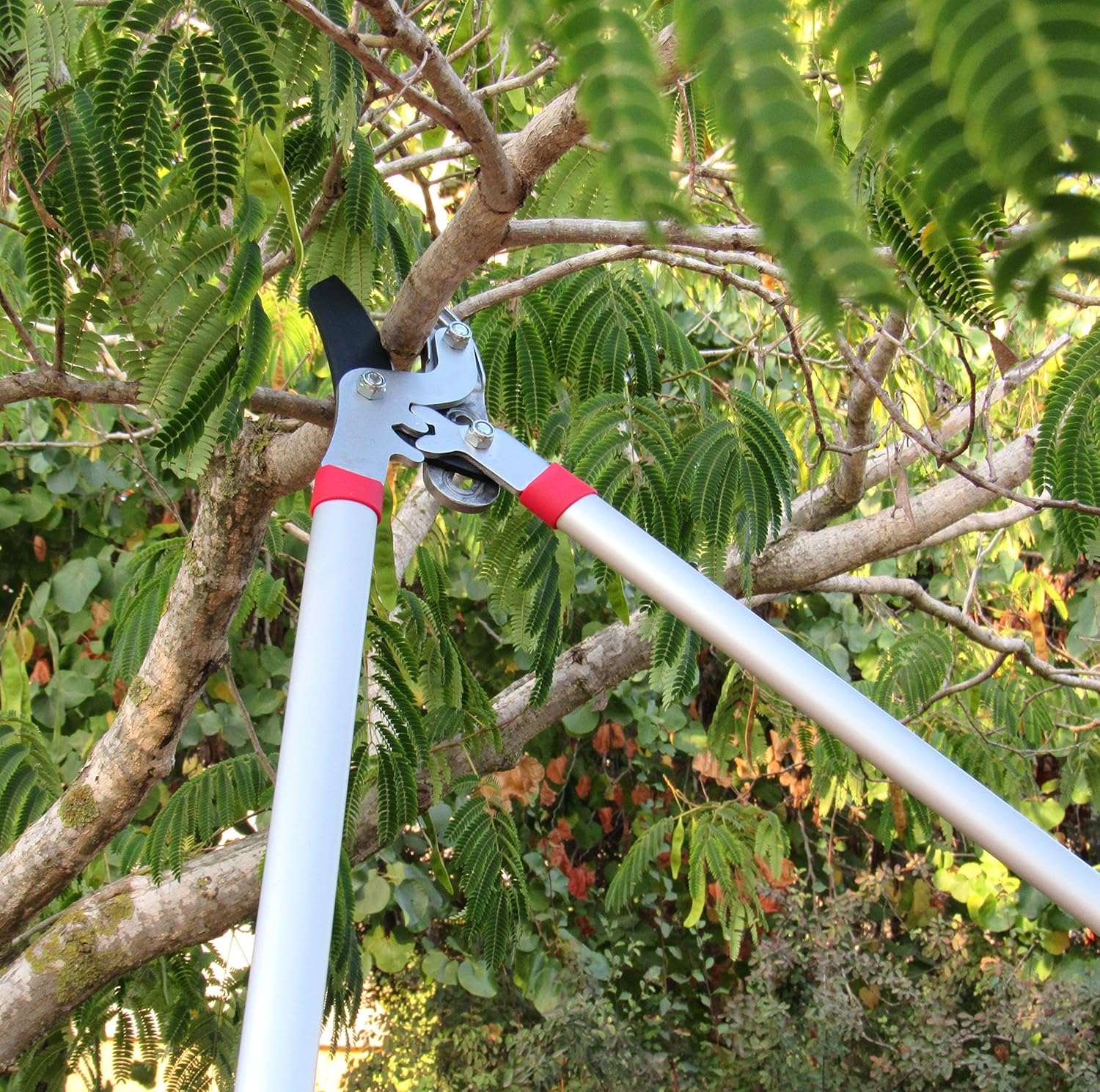 22 Best Loppers For Large Branches Buying Guide And Reviews On