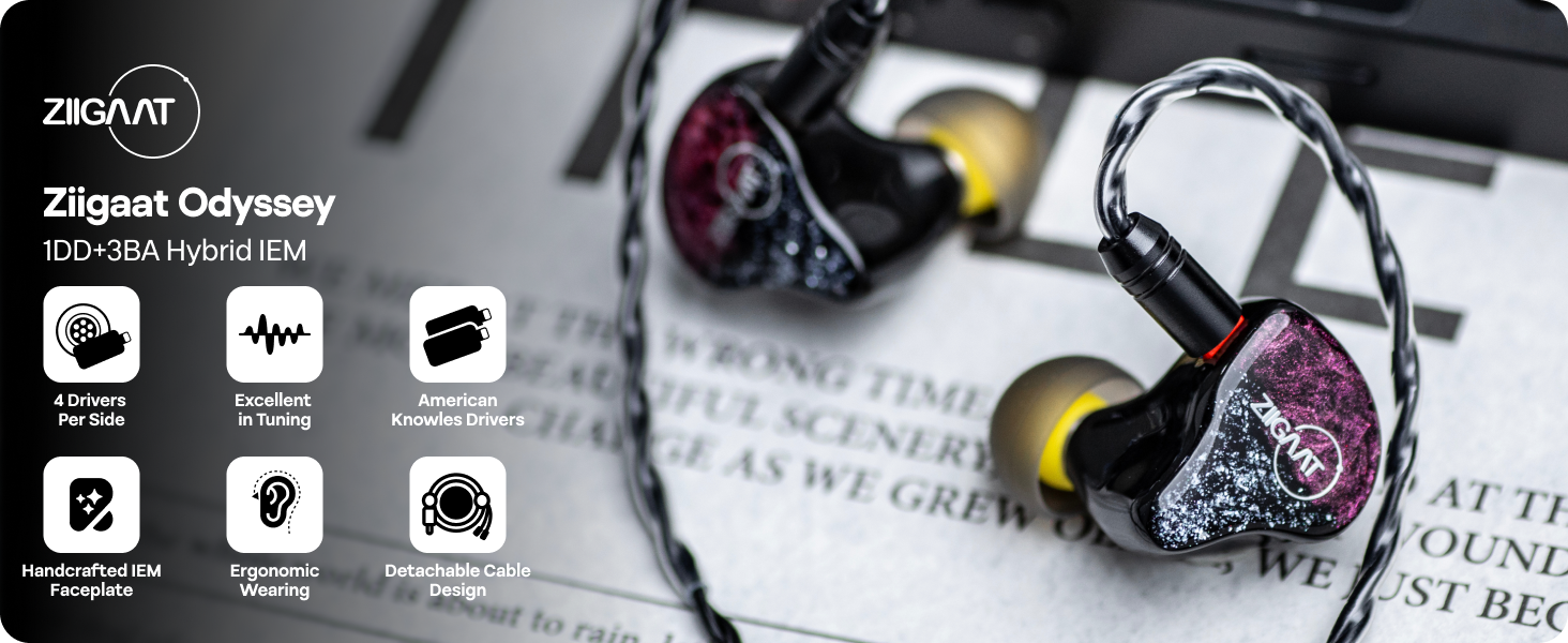 Amazon.com: Linsoul ZiiGaat Odyssey In–Ear Monitor, 1DD+3BA Hybrid