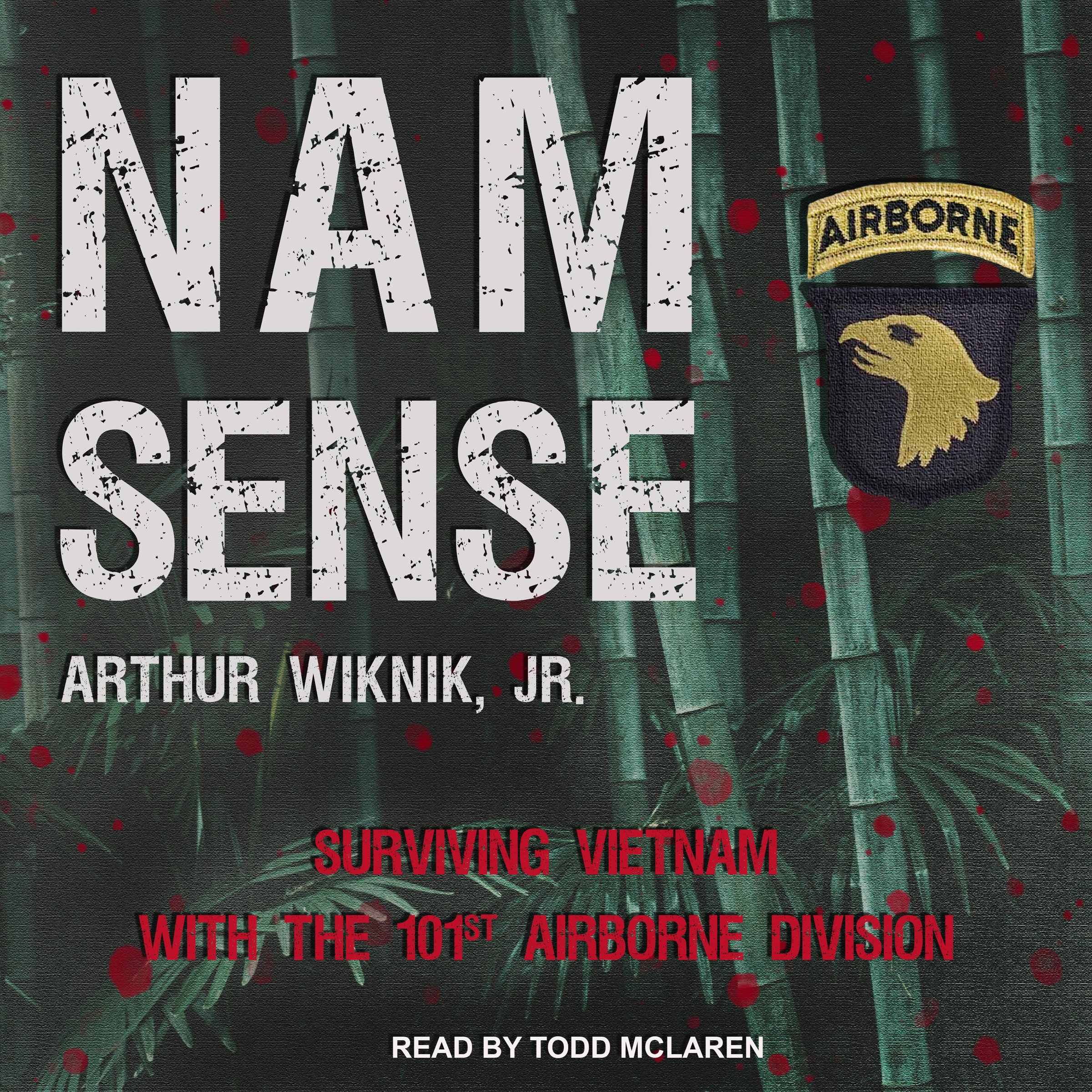 Cover art for Nam-Sense: Surviving Vietnam with the 101st Airborne