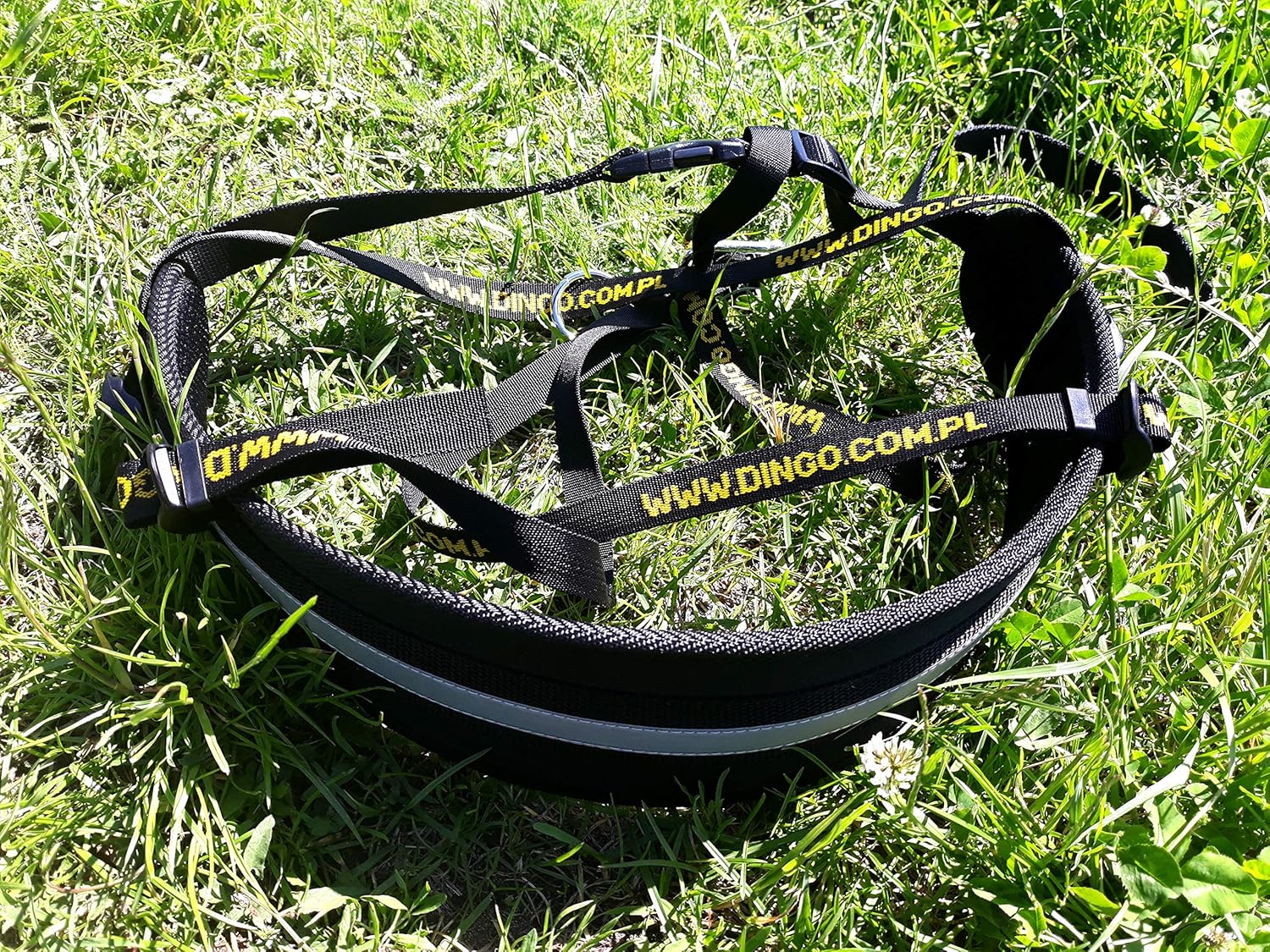 DINGO Canicross Belt 4-in-1 Universal, Adjustable,...