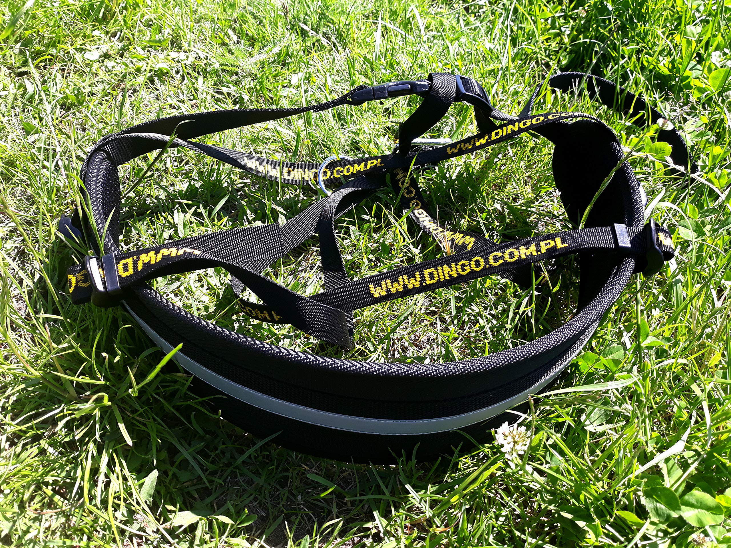 Dingo Cintura Canicross 4 in 1 Cintura da Passeggio per Cani Universale, Regolabile, sicura, Riflettente, Multifunzionale, a Mani libere per Corsa, Sport, Jogging, Allenamento, Nero (12780-2)