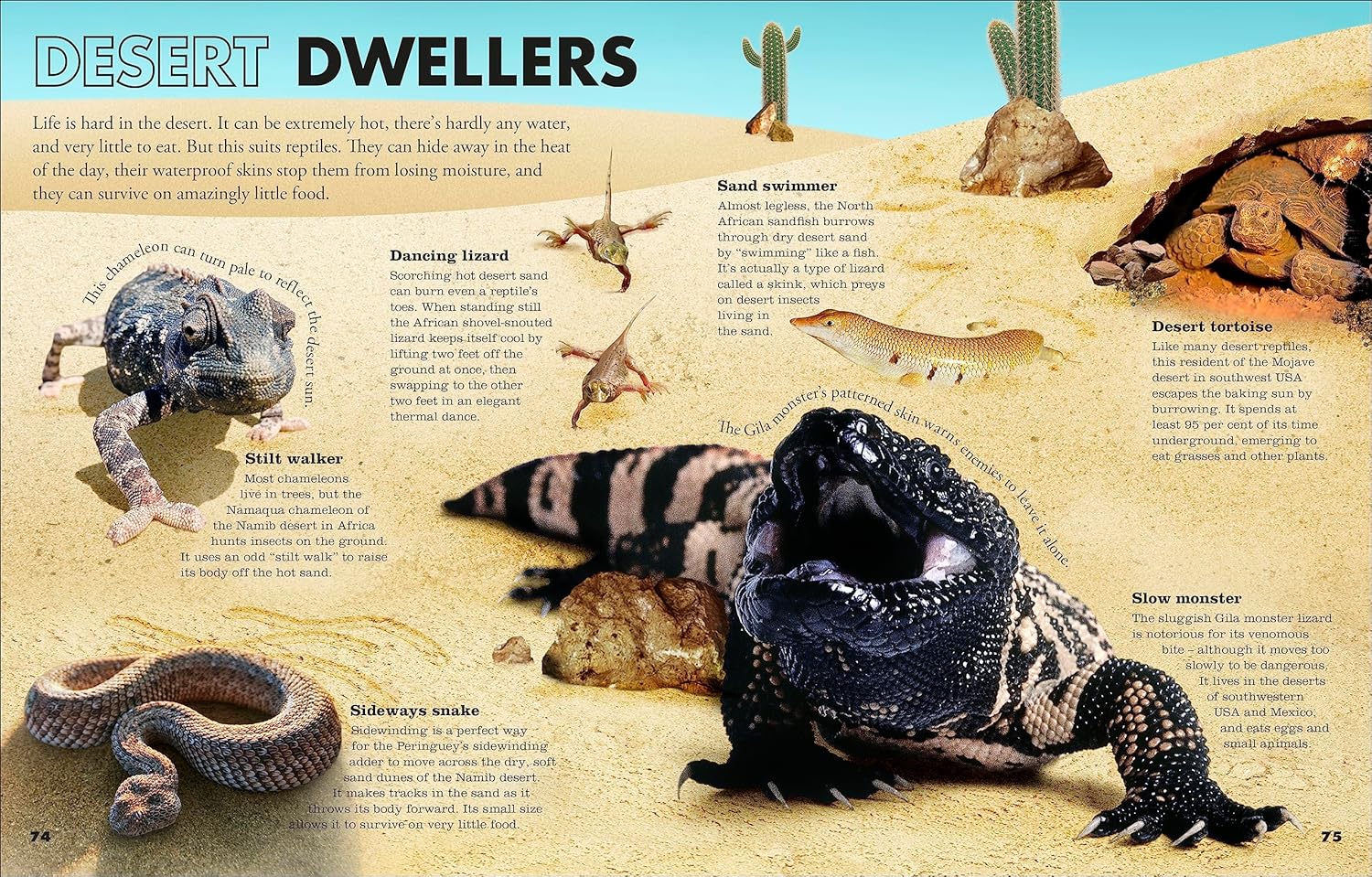 Everything You Need to Know About Snakes: And Other Scaly Reptiles      Hardcover – November 2, 2023