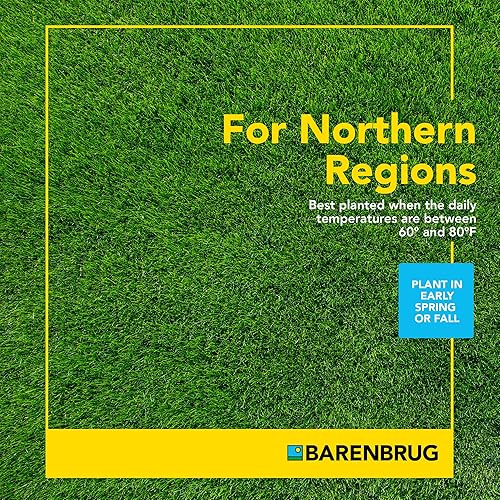 Miniatura 8 de Barenbrug Wonderlawn Sun and Shade - Mezcla de semillas de césped para cuidado del césped y paisajismo, bolsa de 10 libras