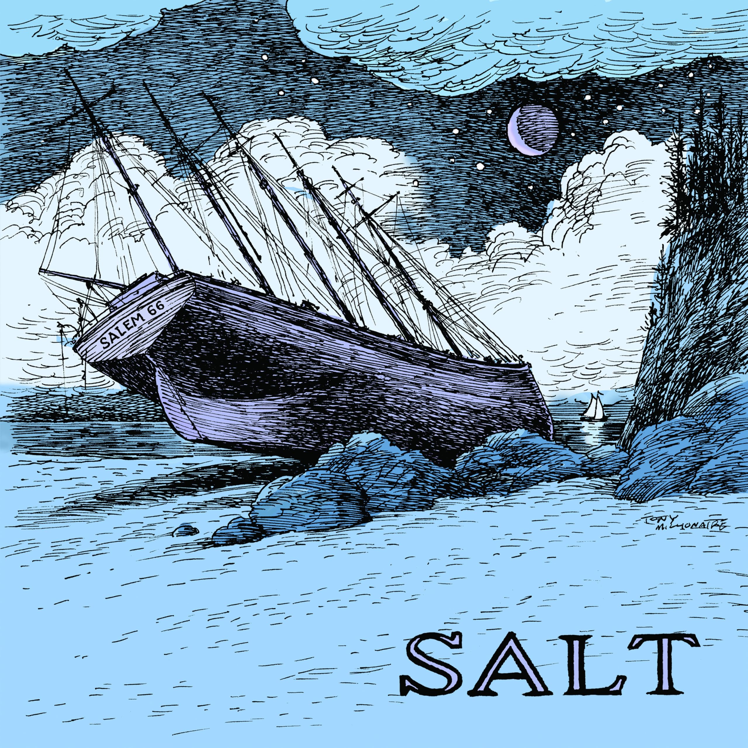 SALEM 66 - Salt - Vinyl (limited hand-numbered gatefold blue vinyl LP)