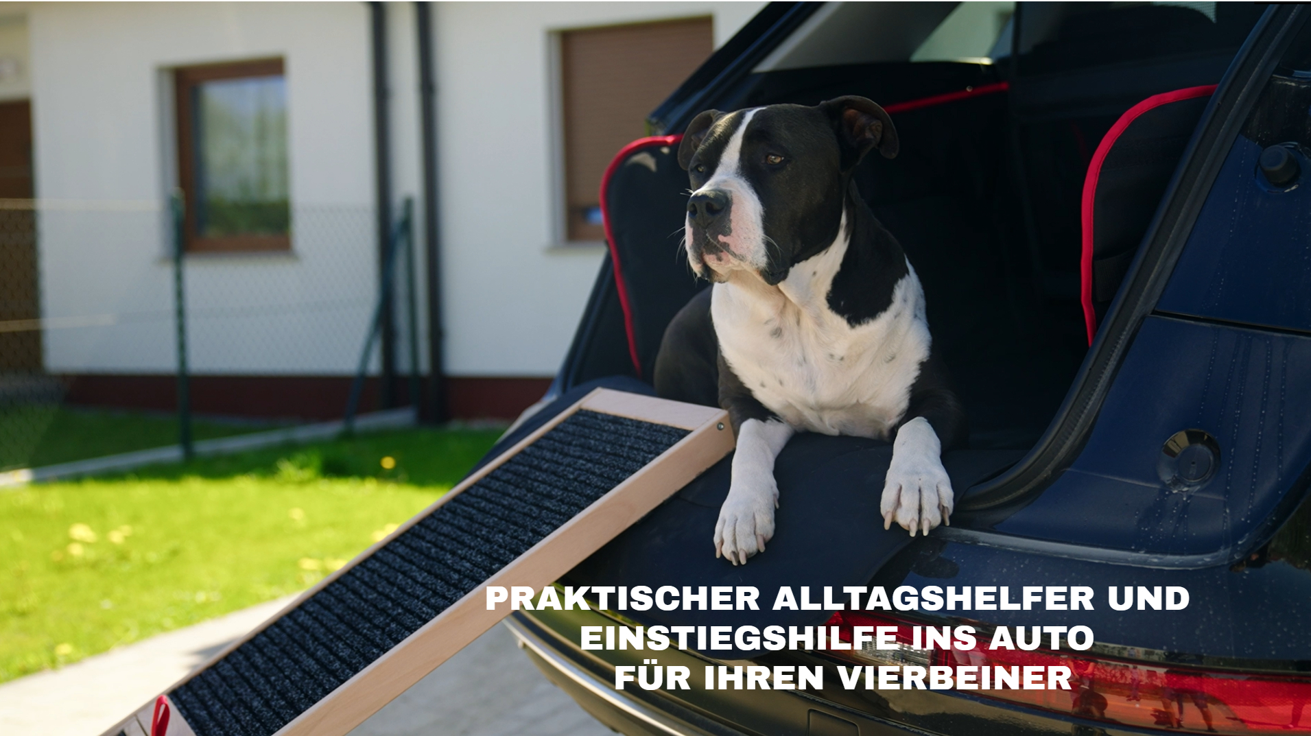 fresco hundefutter welpen FRESCO unico Welpe – Trockenfutter Huhn – Martin Rütter SHOP main image 1