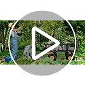 VEVOR Steel Garden Cart, Heavy Duty 500 lbs Capacity, with Removable Mesh Sides to Convert into Flatbed, Utility Metal Wagon with 180° Rotating Handle and 10 in Tires, Perfect for Garden, Farm, Yard