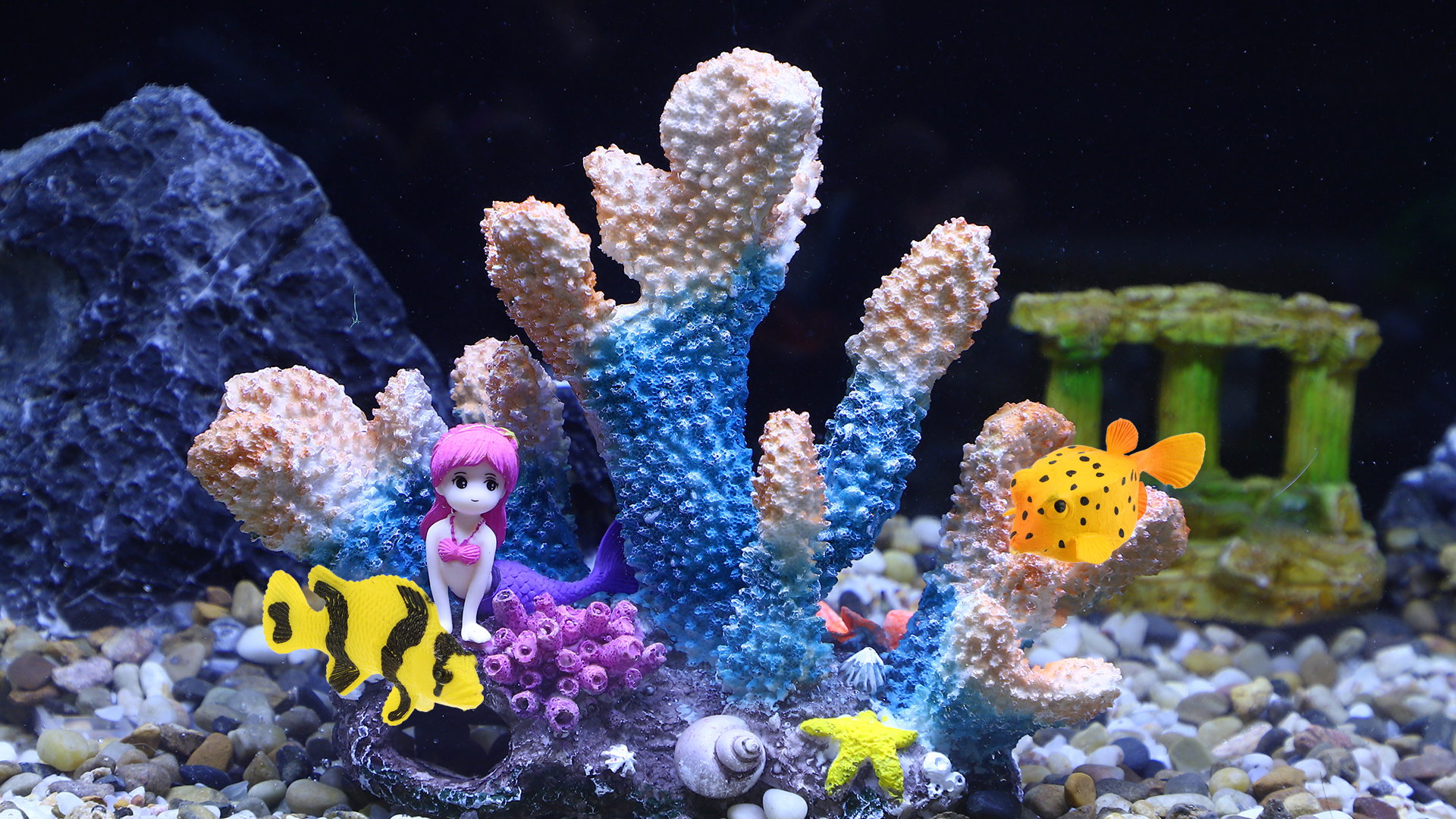 Künstliche Koralle Für Aquarium – Pink/blau, 16x14 Cm, Plastik-Dekoration Für Süß- & Salzwasser