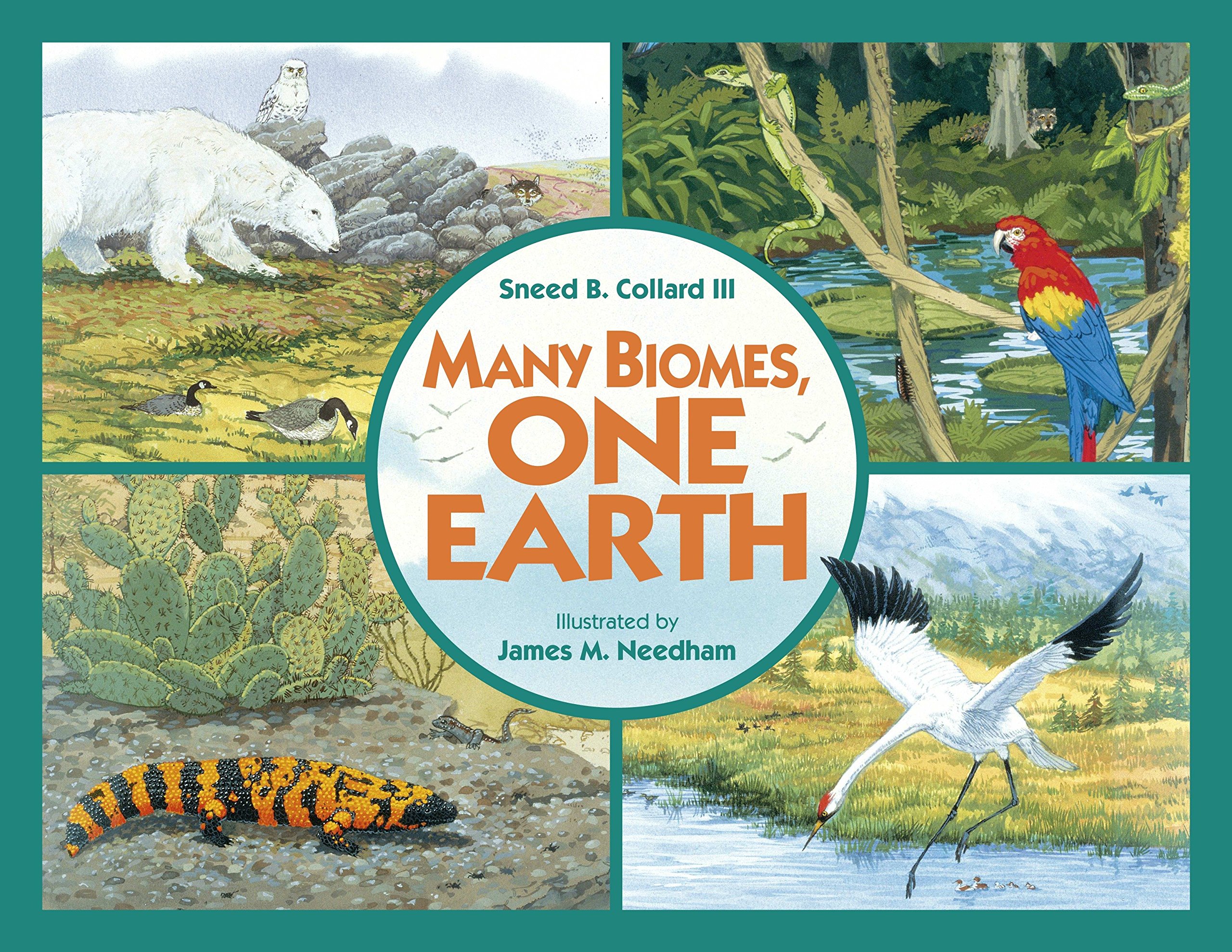 Charlesbridge Publishing Many Biomes, One Earth