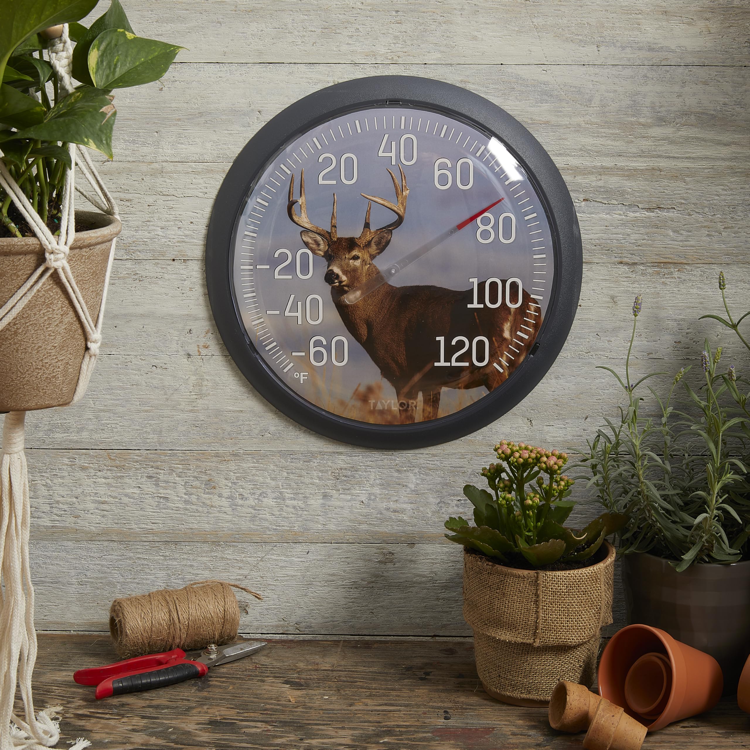 Taylor White Tail Deer - Termometro a quadrante grande per interni ed esterni, termometro wireless con numeri grandi facili da leggere per patio, piscina, giardino o garage e aree interne, 33,7 cm,