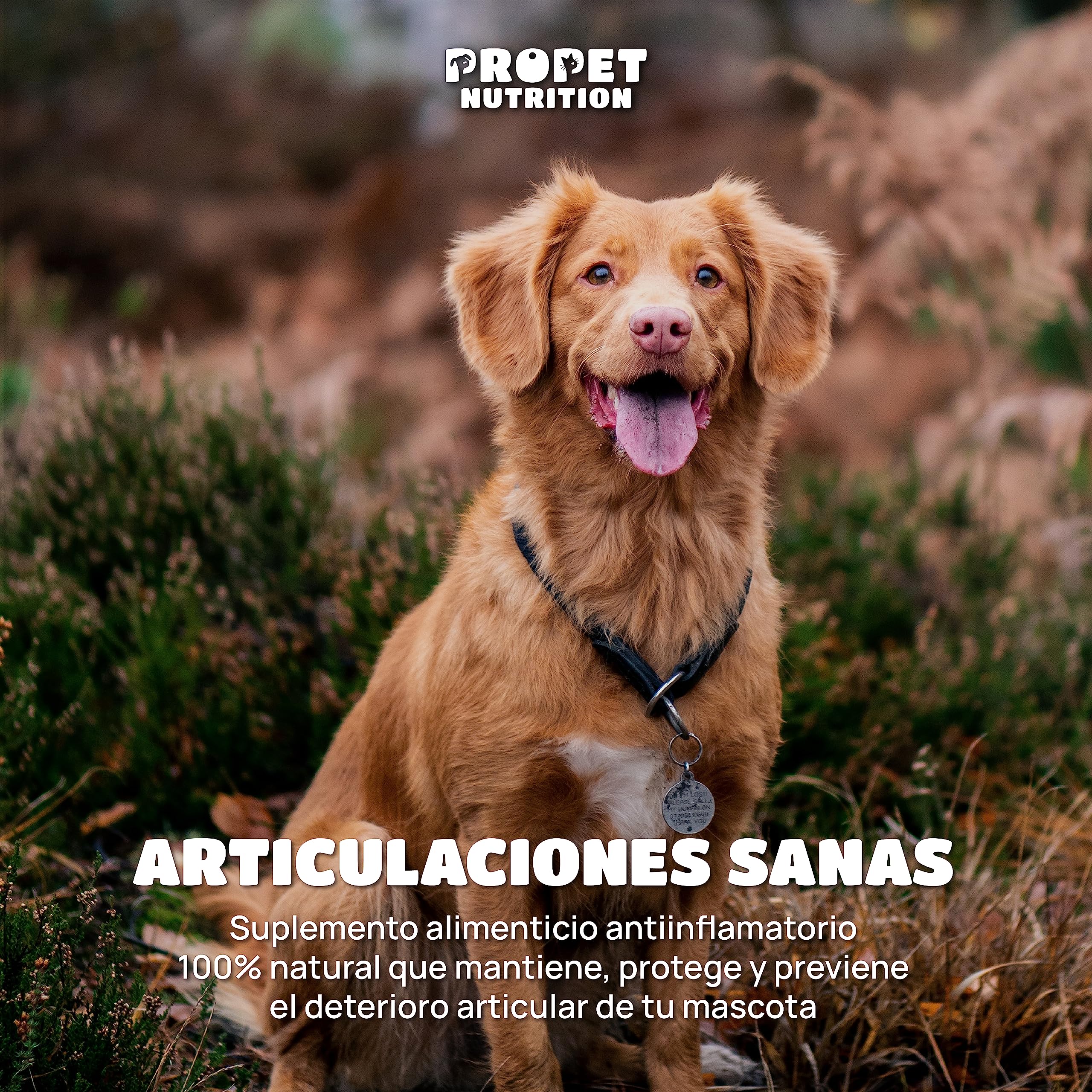 Condroprotector Perros y Gatos. Antiinflamatorio Gran Concentración. Glucosamina, Condroitina, Colágeno, 10 Vitaminas, Cúrcuma. 120 Comprimidos. Sin Azúcar. Fortalece las Articulaciones de tu Mascota