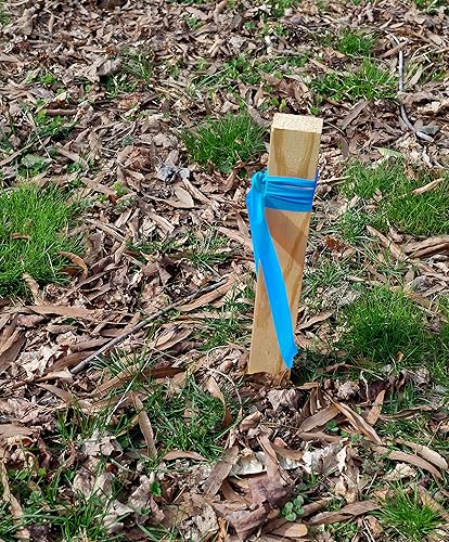 Miniatura 8 de Brady - Cinta para señalizar roja de 1 316 pulgadas x 300 pies