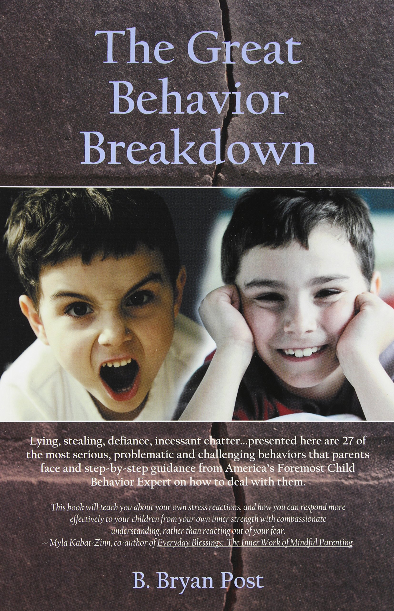 The Great Behavior Breakdown Paperback – June 1, 2009