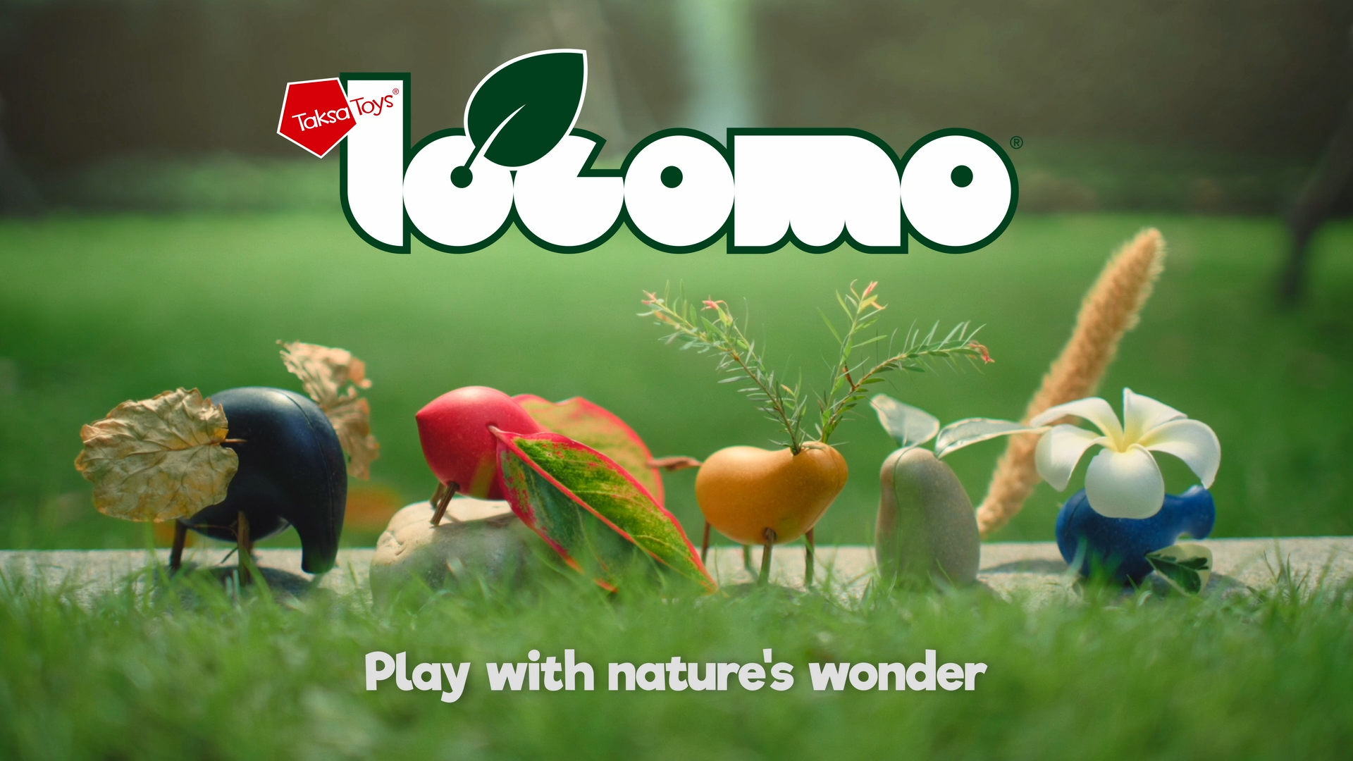 Amazon.com: Taksa Toys Locomo Family 1 Open-Ended Waldorf