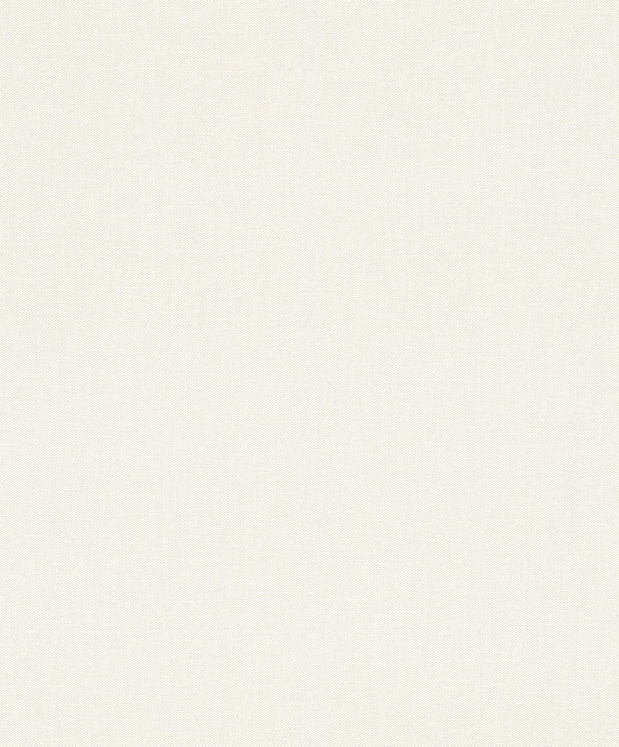 Raschpaperhangings Rasch Tapeten Vliestapete (universell) Weiß 10,05 m x 0,53 m Tapetenwechsel 633368 Wallpaper, White, 10.05 0.53 m