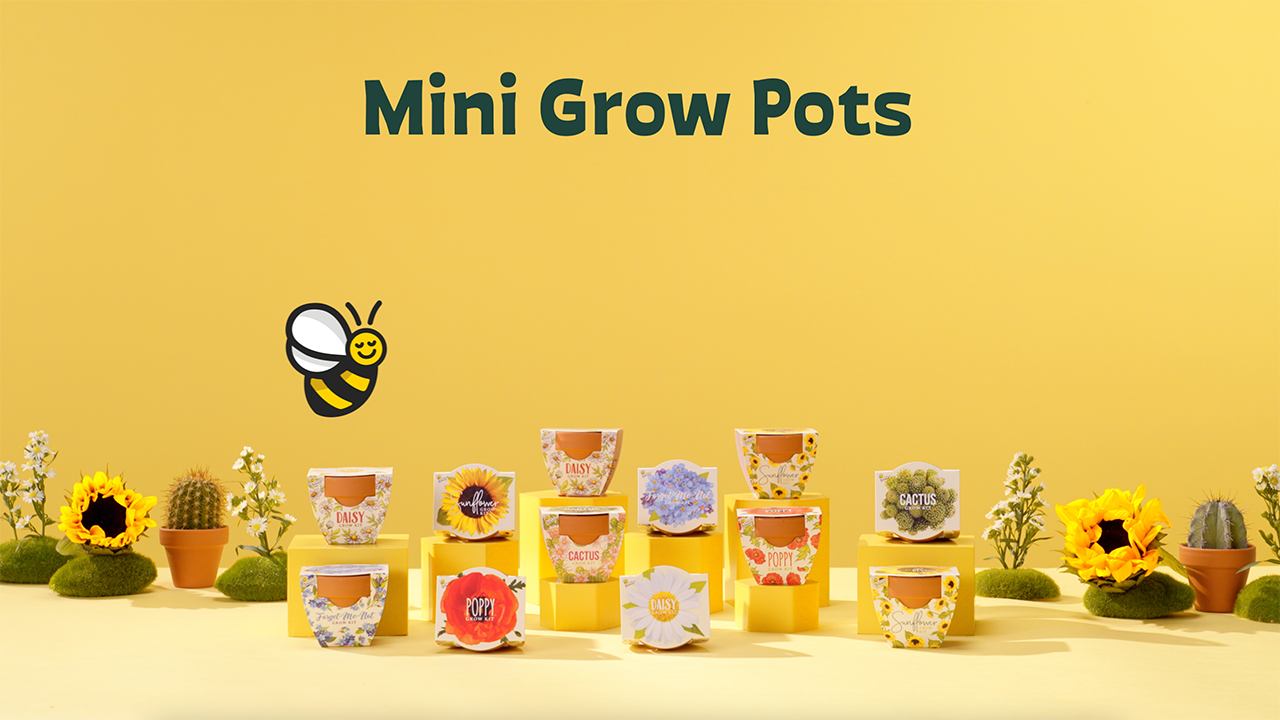 Amazon.com: BUZZY Seeds Daydream Mini Terracotta Pots 12-Pack with